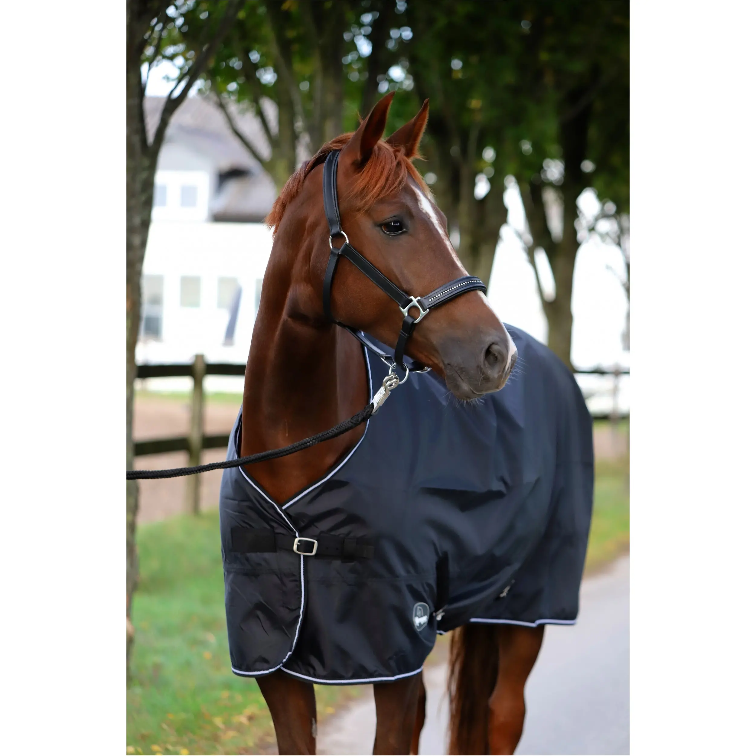 Regendecke 420D ECONOMIC schwarz Regendecke 420D ECONOMIC schwarz