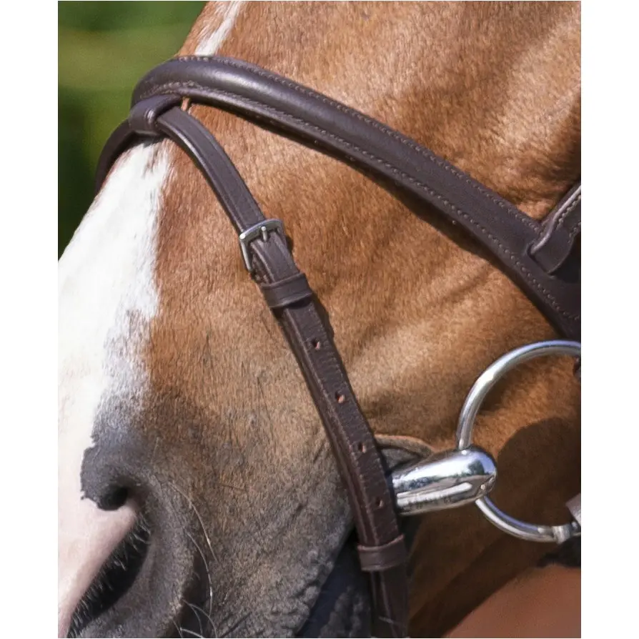 Trensenzaum mit kombiniertem Reithalfter havana