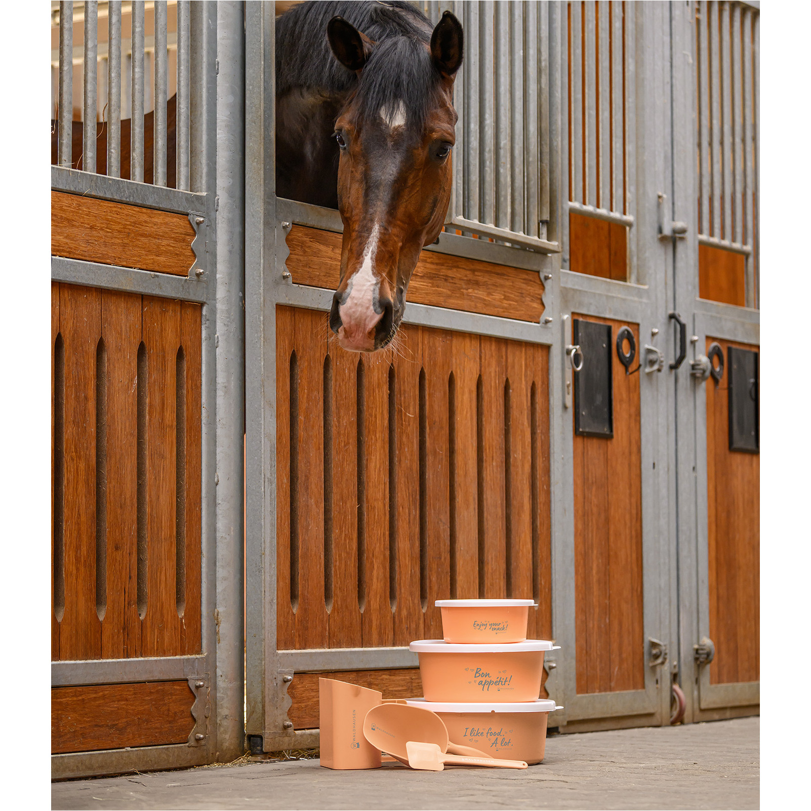 Müslischale mit Deckel pfirsich 8L