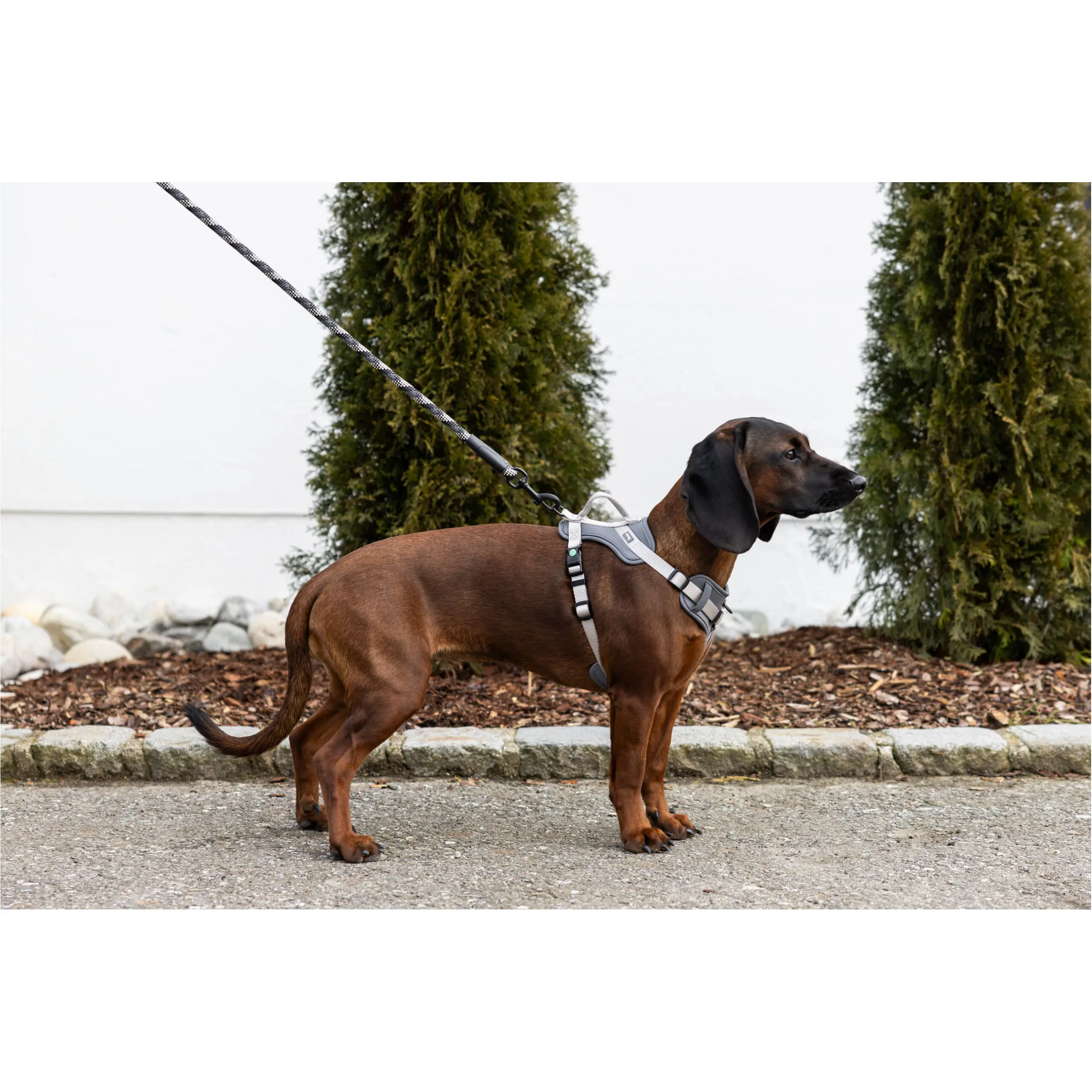 Hundegeschirr FITTY grau/beige