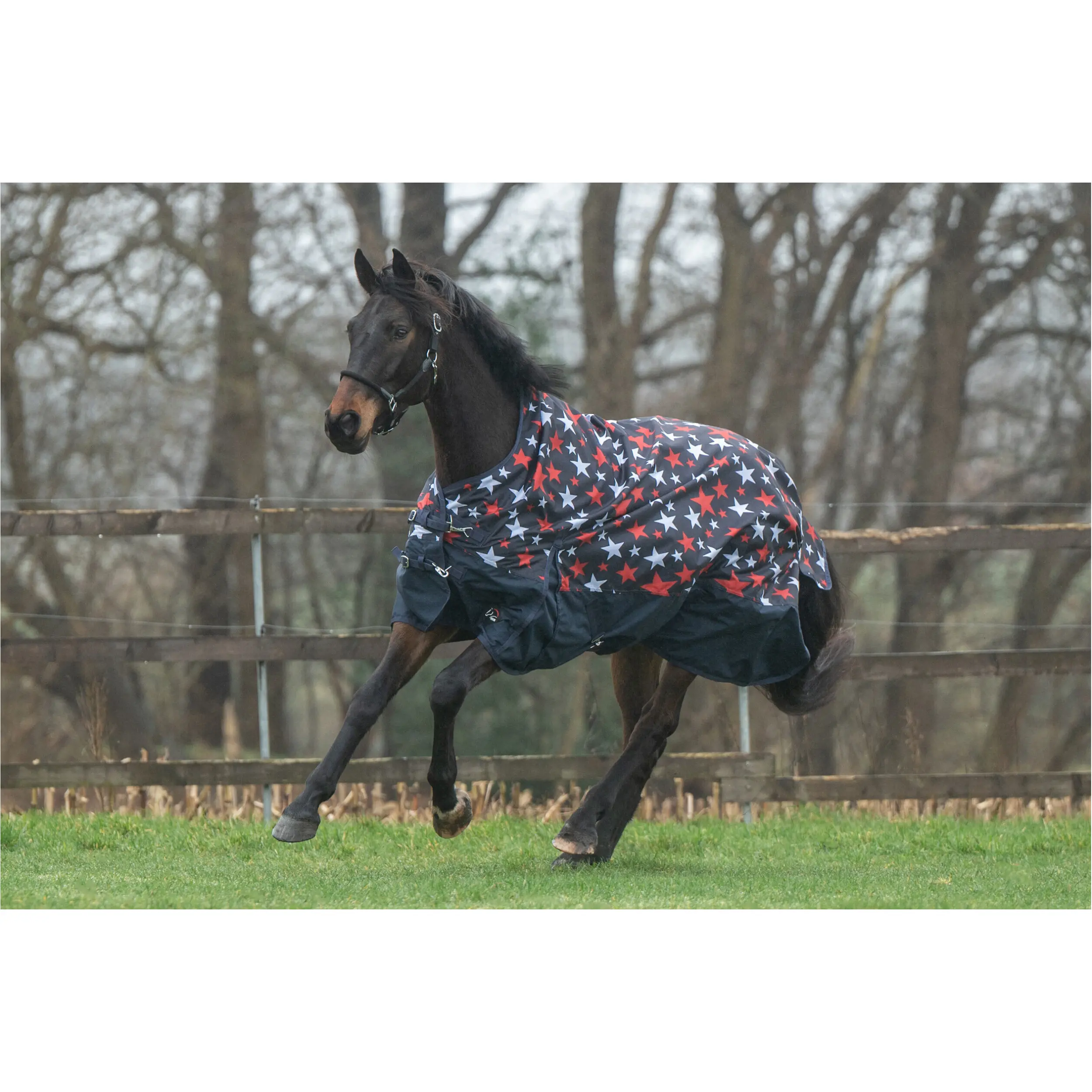 Weidedecke High Neck 100g Füllung 600D NORWICH navy mit Sternenmuster
