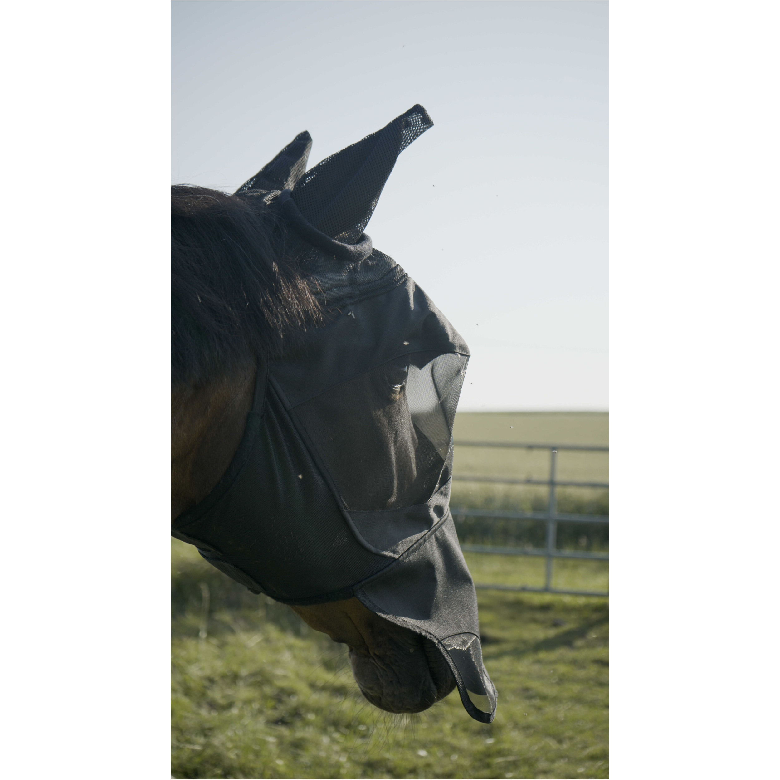 Fliegenmaske mit UV-Schutz VISOR schwarz Fliegenmaske mit UV-Schutz VISOR schwarz