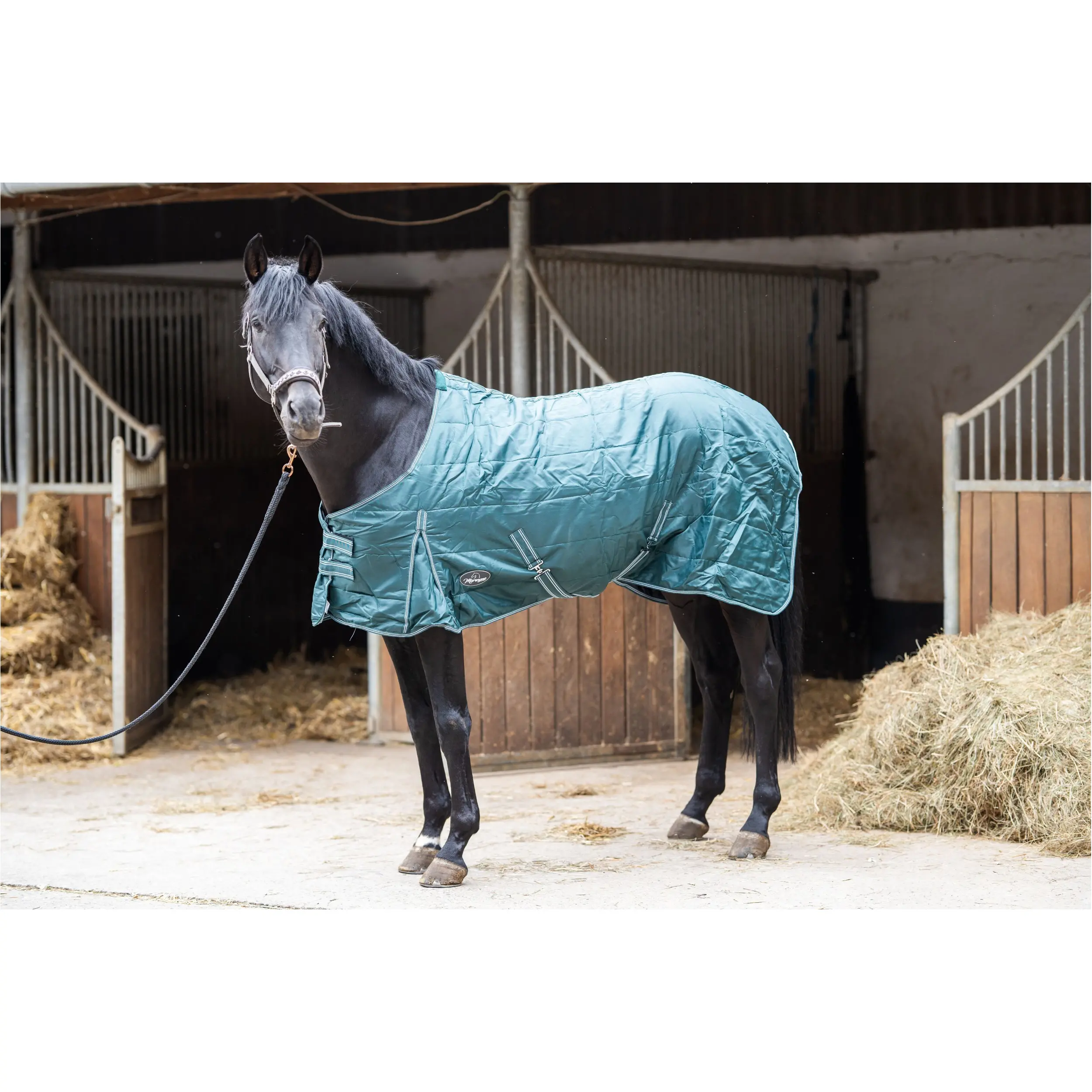 Stalldecke 200g Füllung 420D COMFORT tannengrün Stalldecke 200g Füllung 420D COMFORT tannengrün