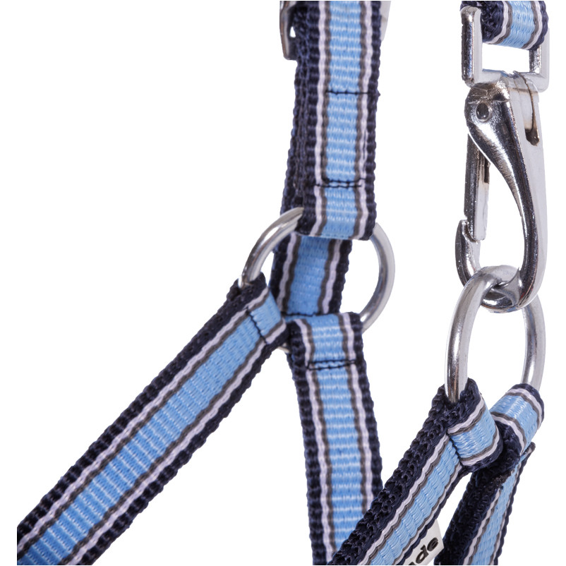 Fohlenhalfter hellblau/marine/weiß Fohlenhalfter hellblau/marine/weiß
