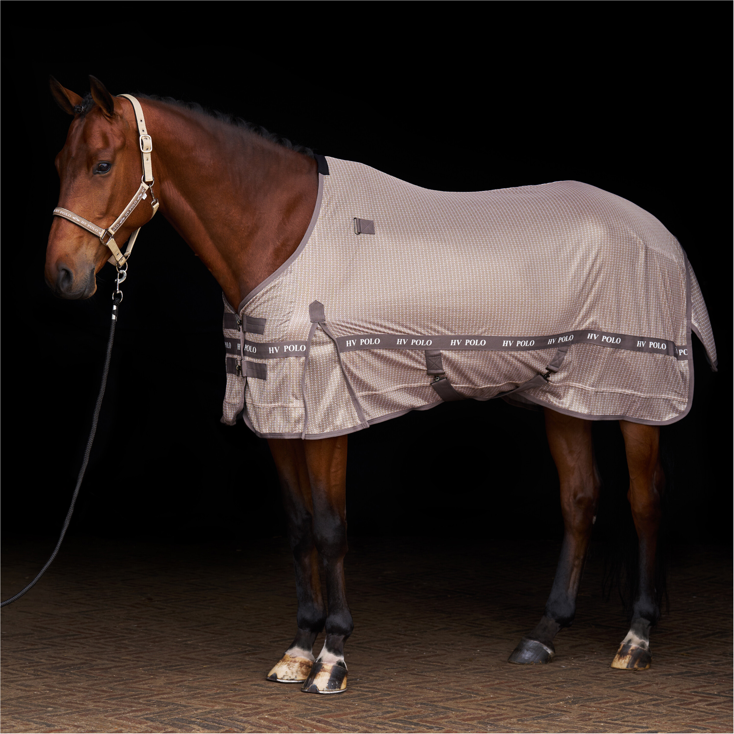 Fliegendecke HVPNena AOP champagne Fliegendecke HVPNena AOP champagne