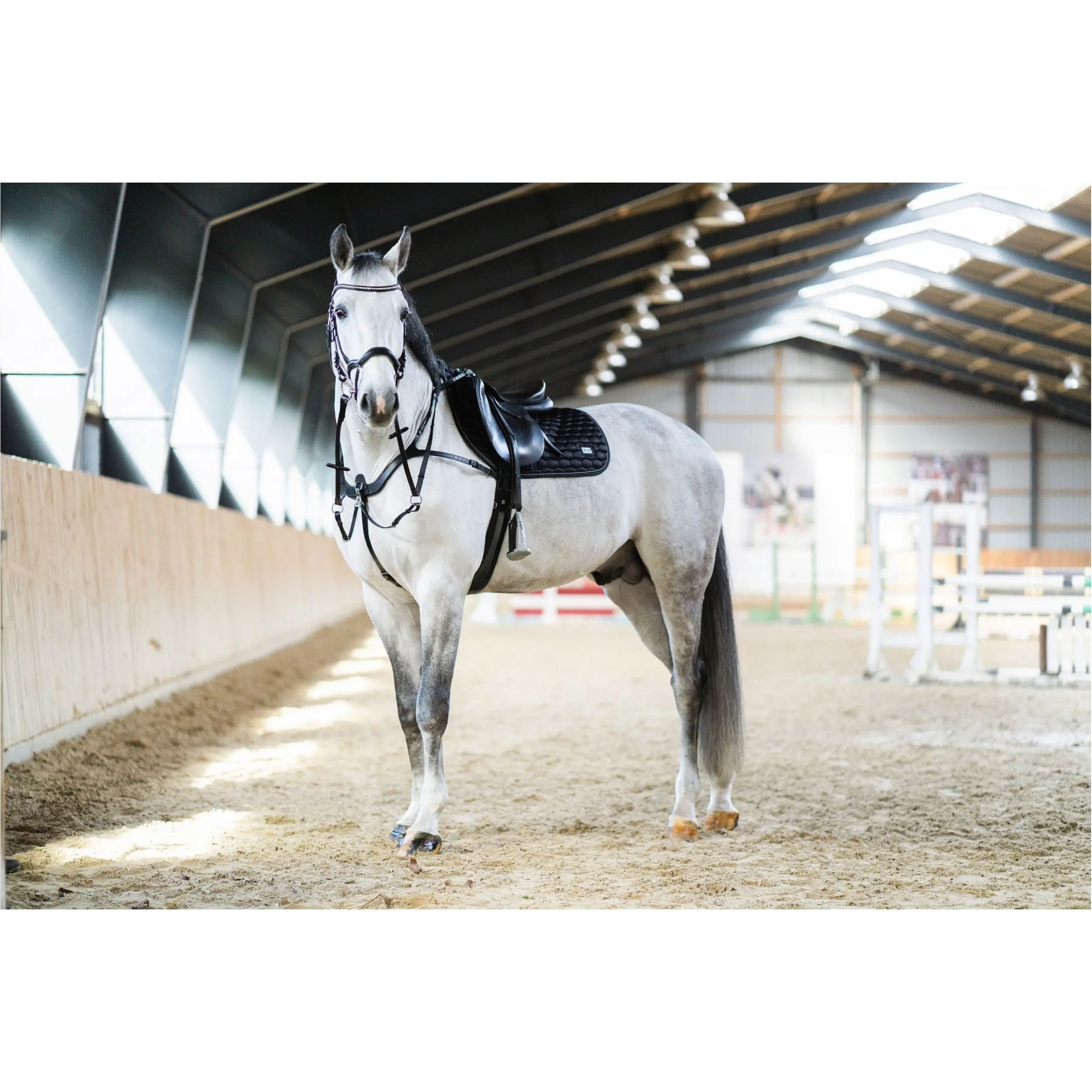 Schabracke KORA schwarz Schabracke KORA schwarz