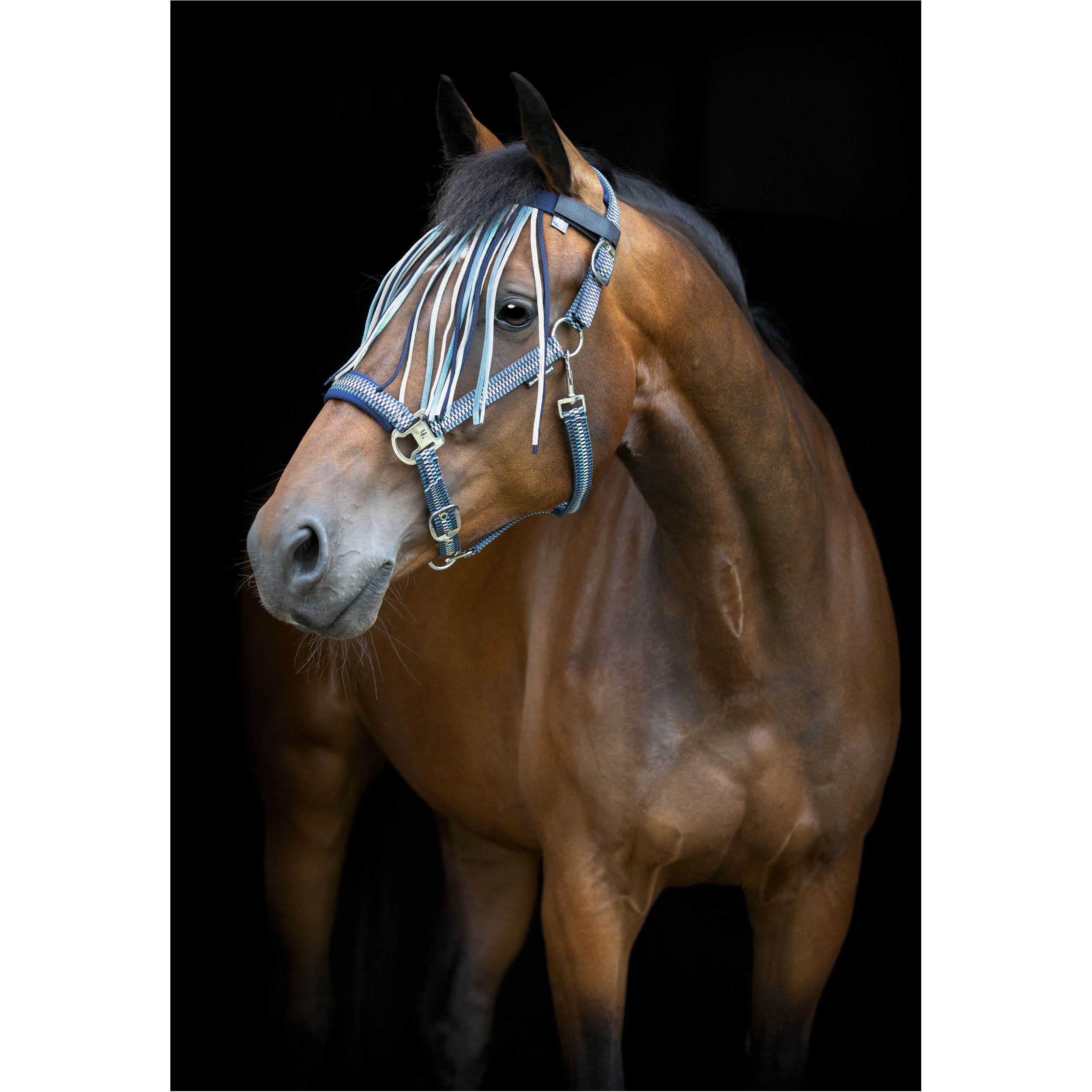 Fliegenfransen COLE arctic