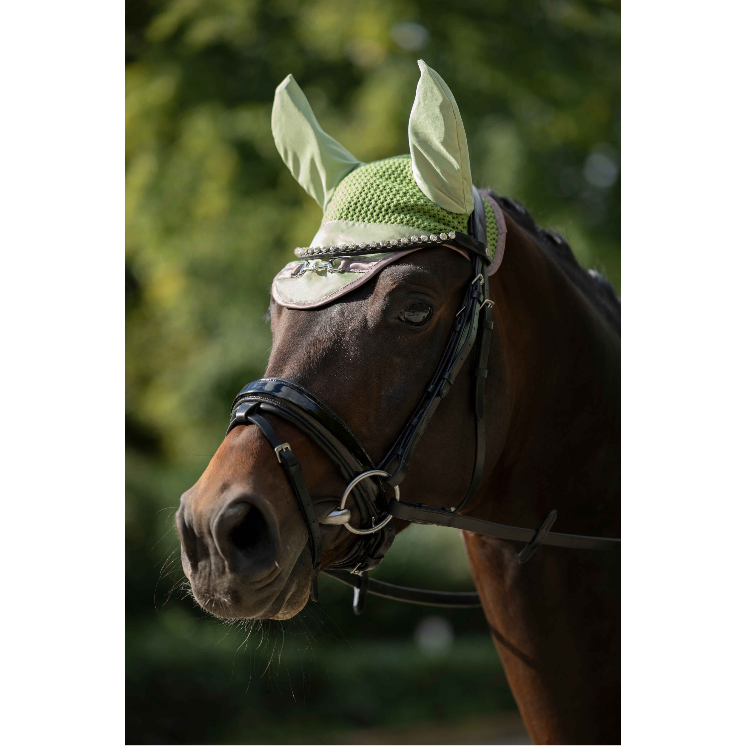 Fliegenhaube GOLDEN BIT jade