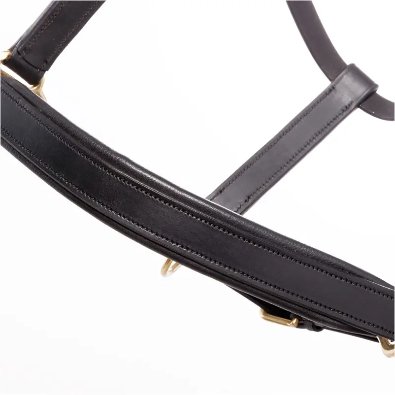 Lederhalfter Soft CINTA schwarz