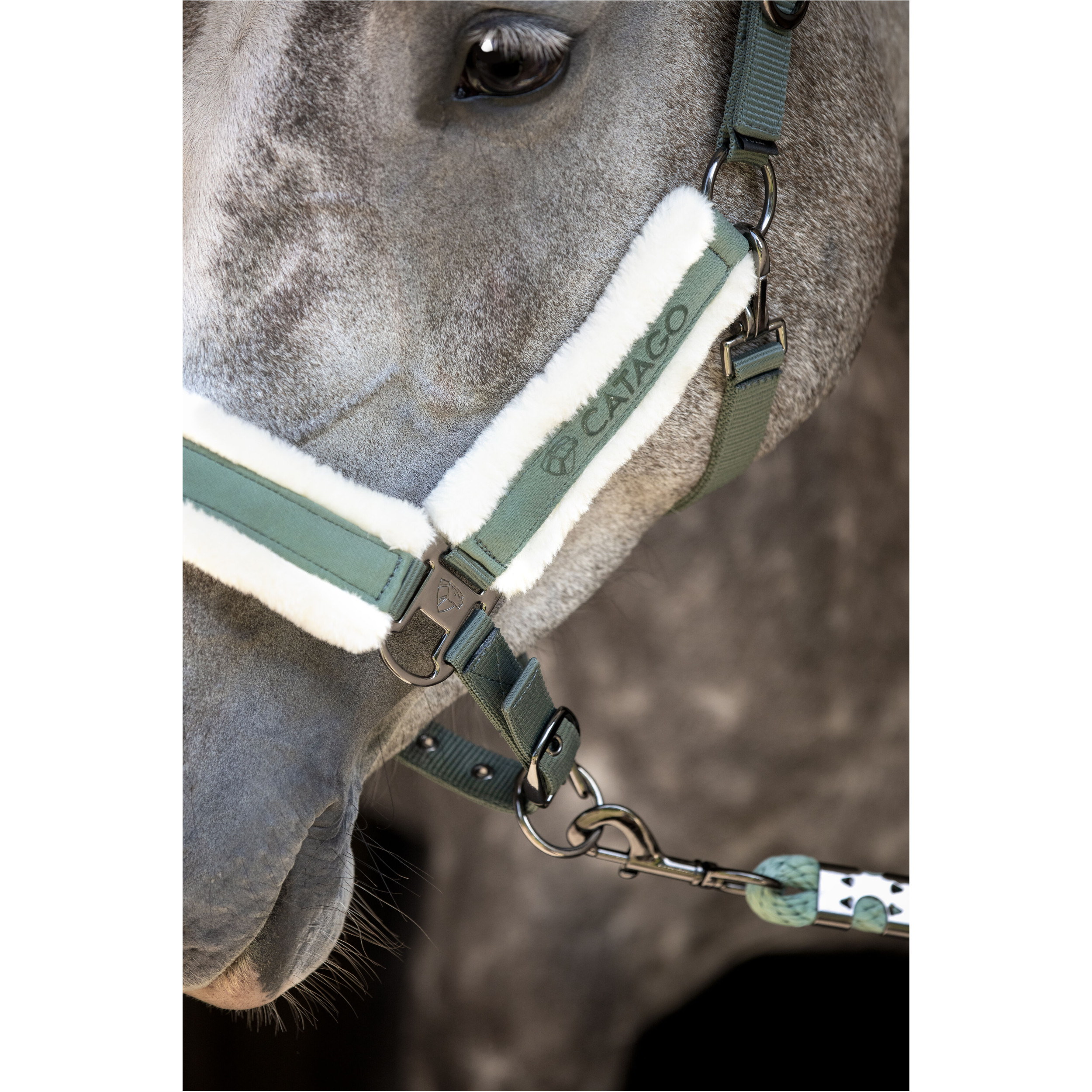 Halfter LOGI laurel wreath