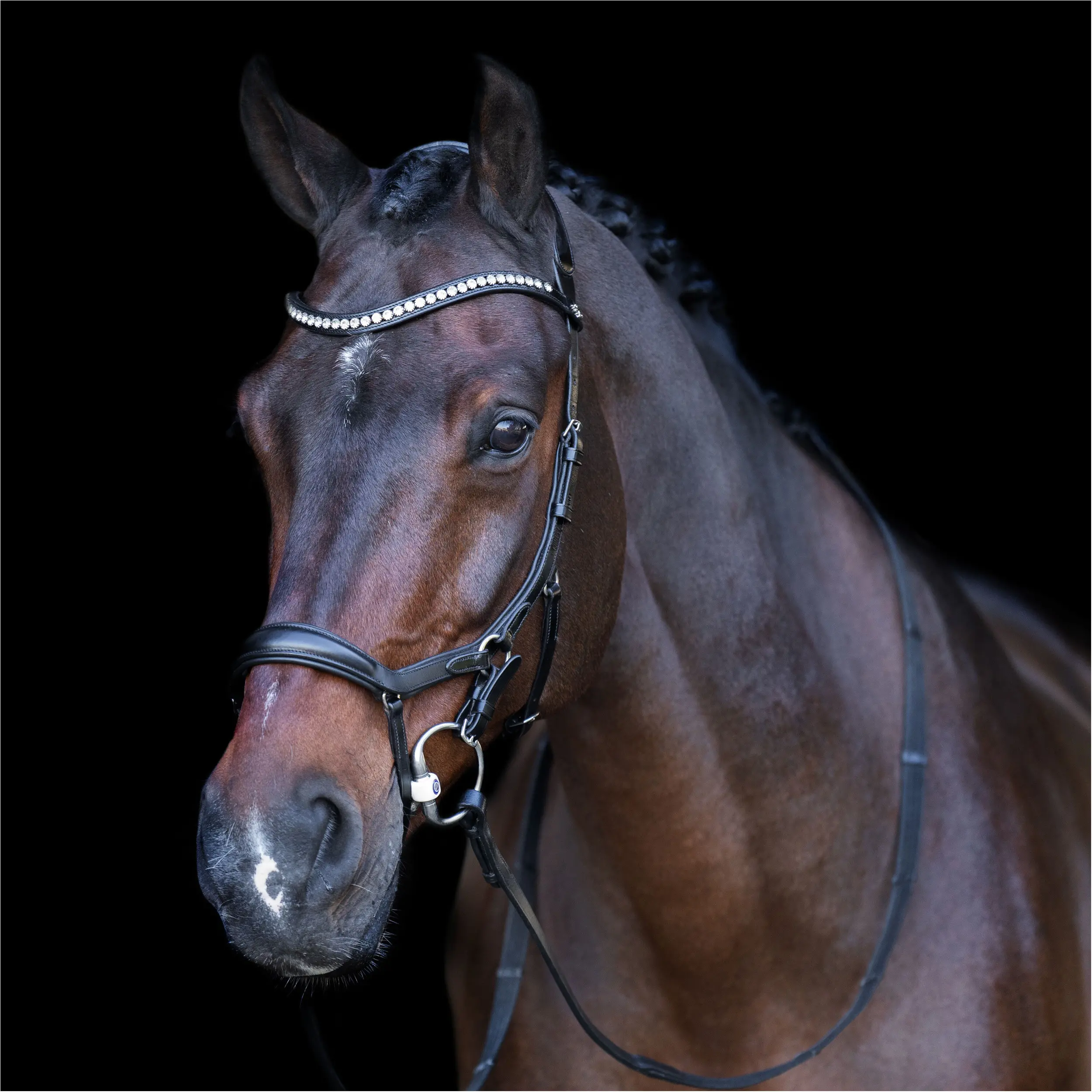 schwarz