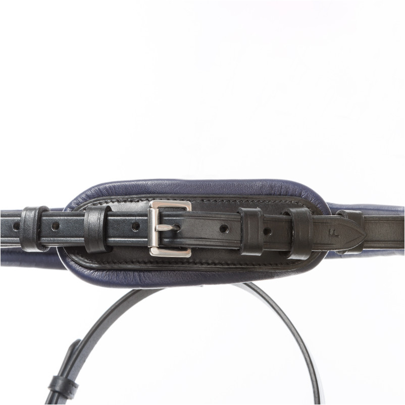 Trensenzaum mit schwedischen Reithalfter OCEAN schwarz