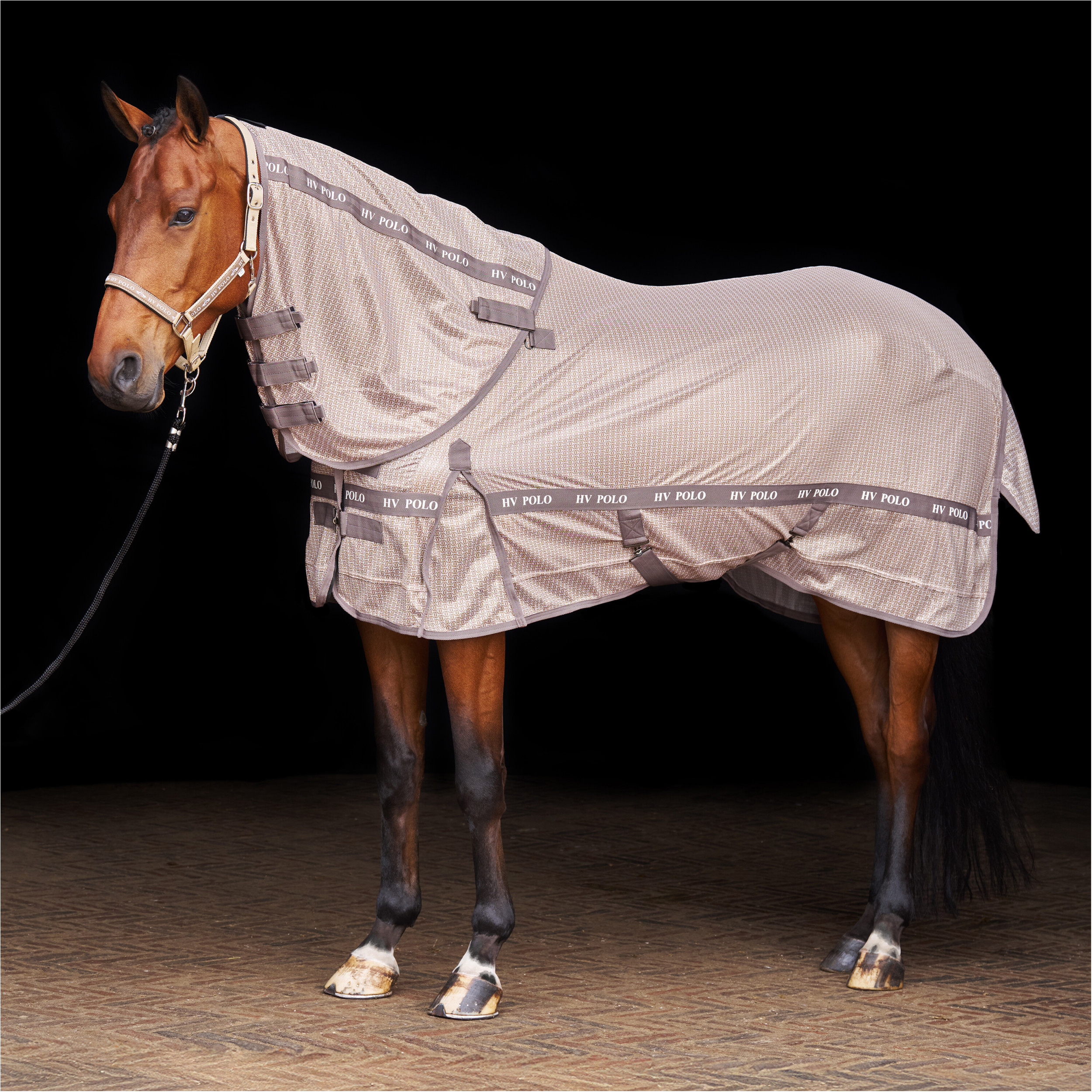 Fliegendecke HVPNena AOP champagne