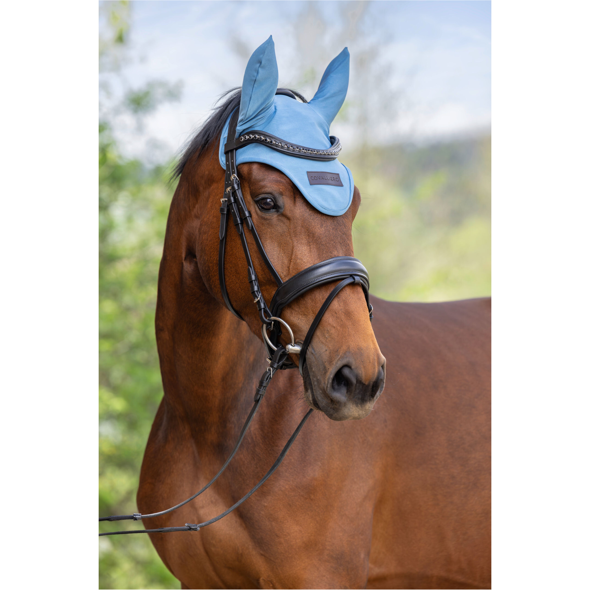 Fliegenhaube F/S 2026 smoked blue