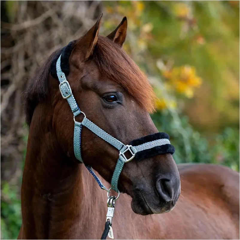 Halfter GRETCHEN mint/marine