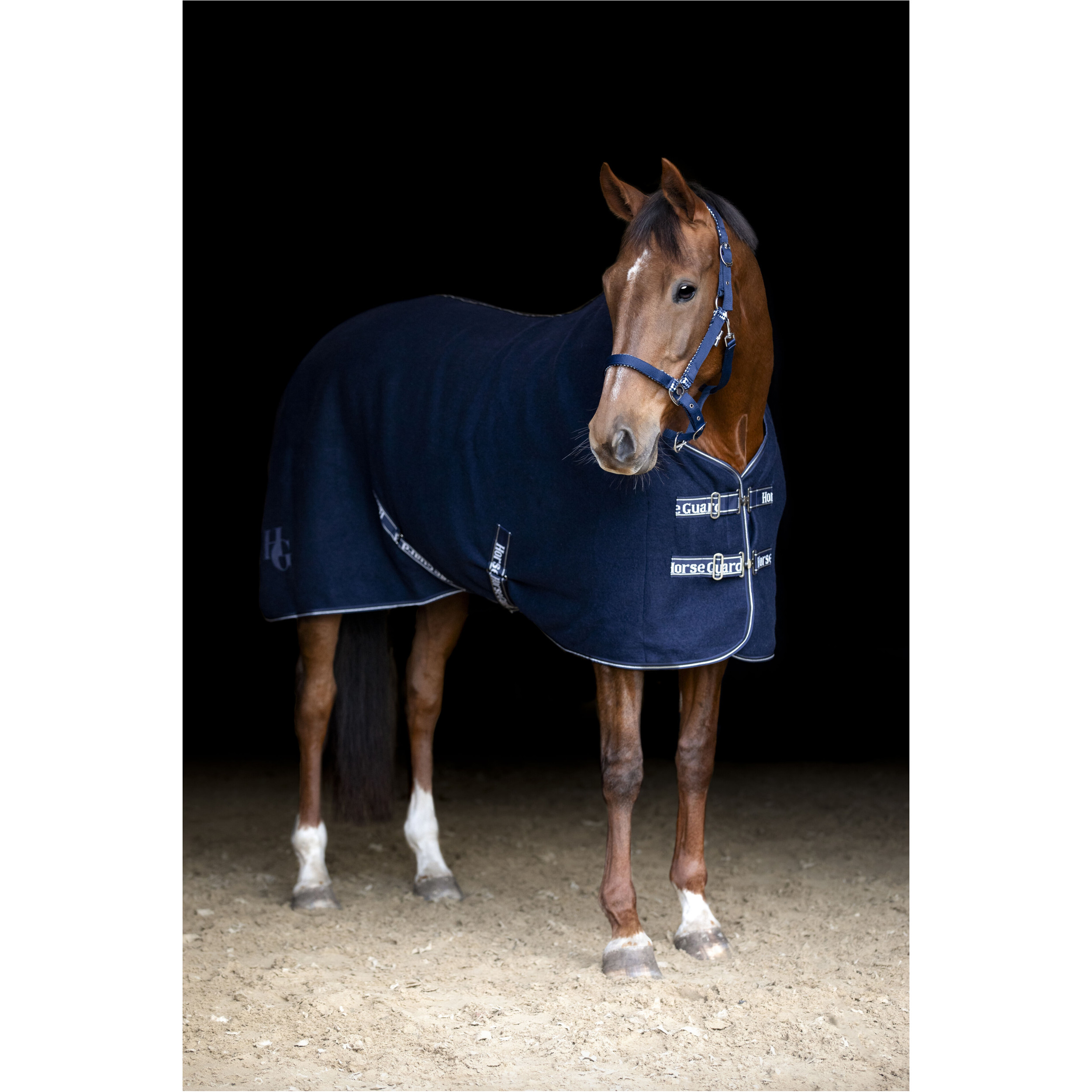 Wolldecke VEDA navy