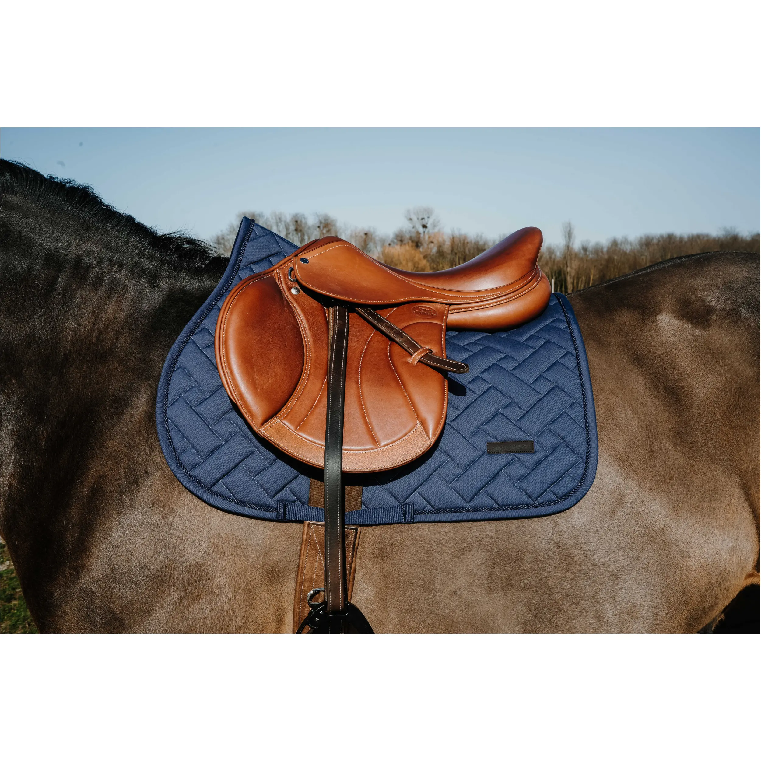 Schabracke STARLET navy Warmblut Vielseitigkeit