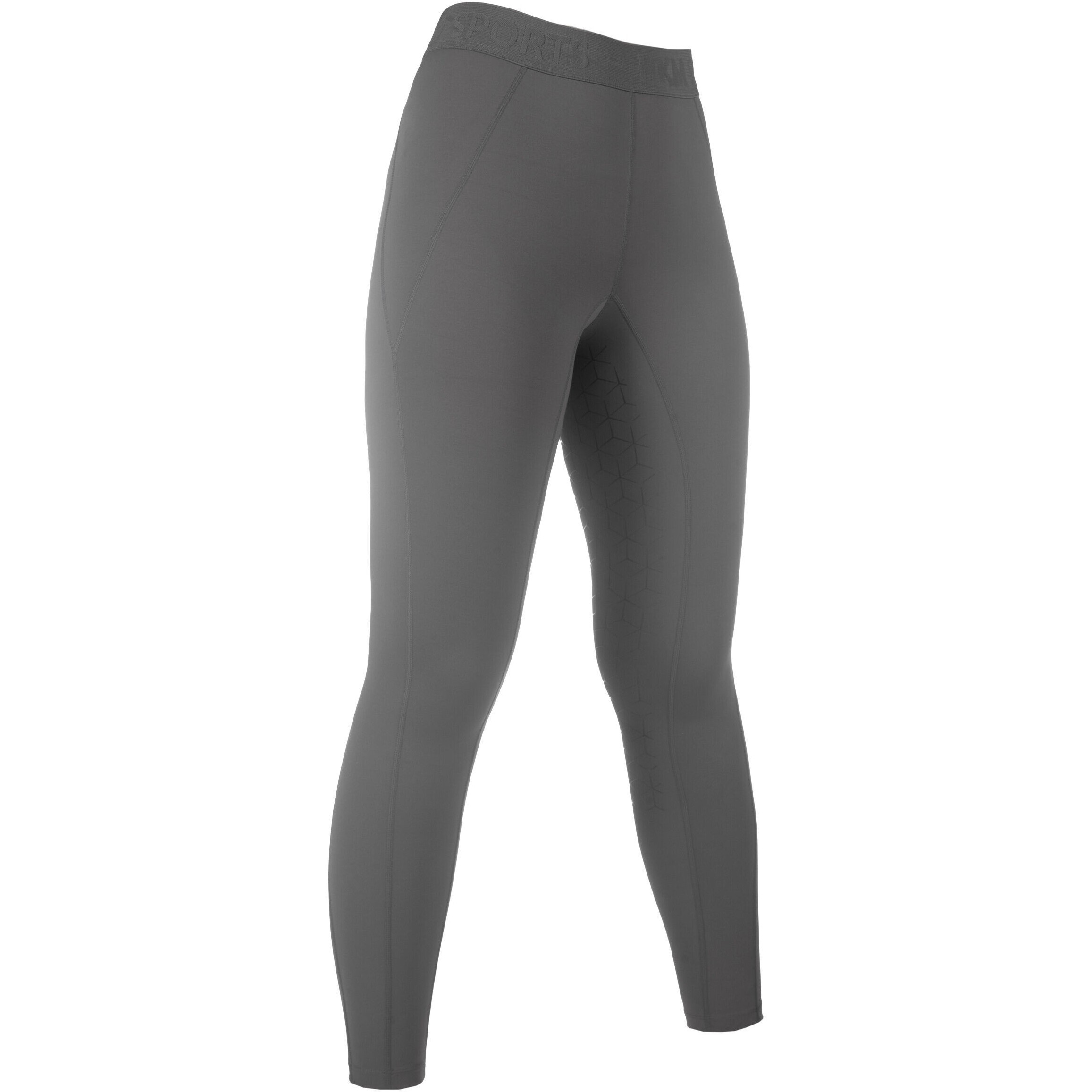 Damen Reitleggings Silikon Vollbesatz TABEA grau
