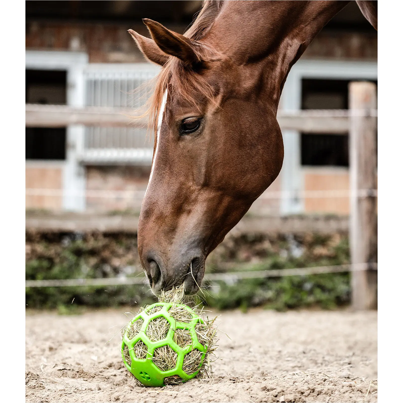 Heuball grün 22cm
