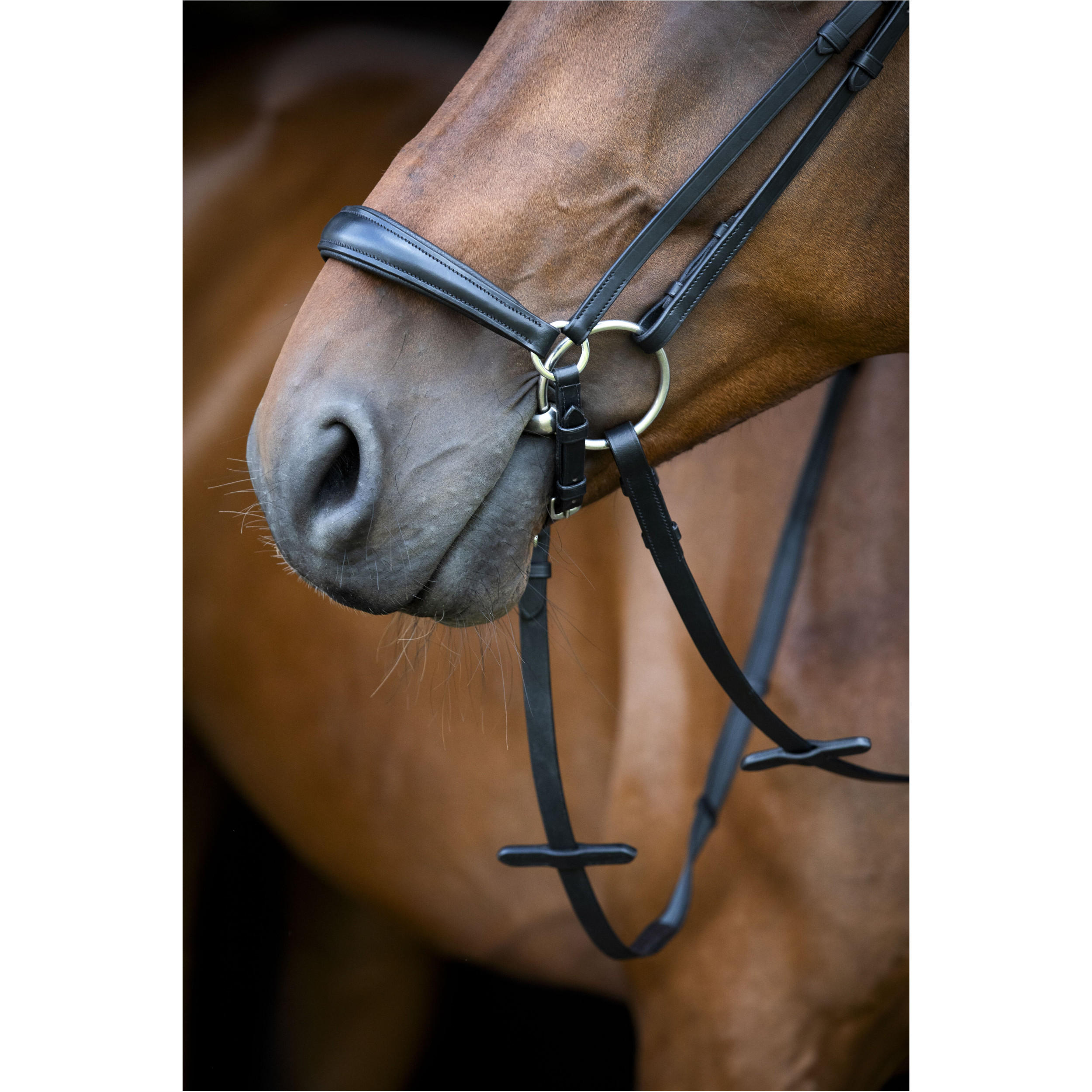 Trensenzaum hannoveranisch CRYLL 26.1 schwarz