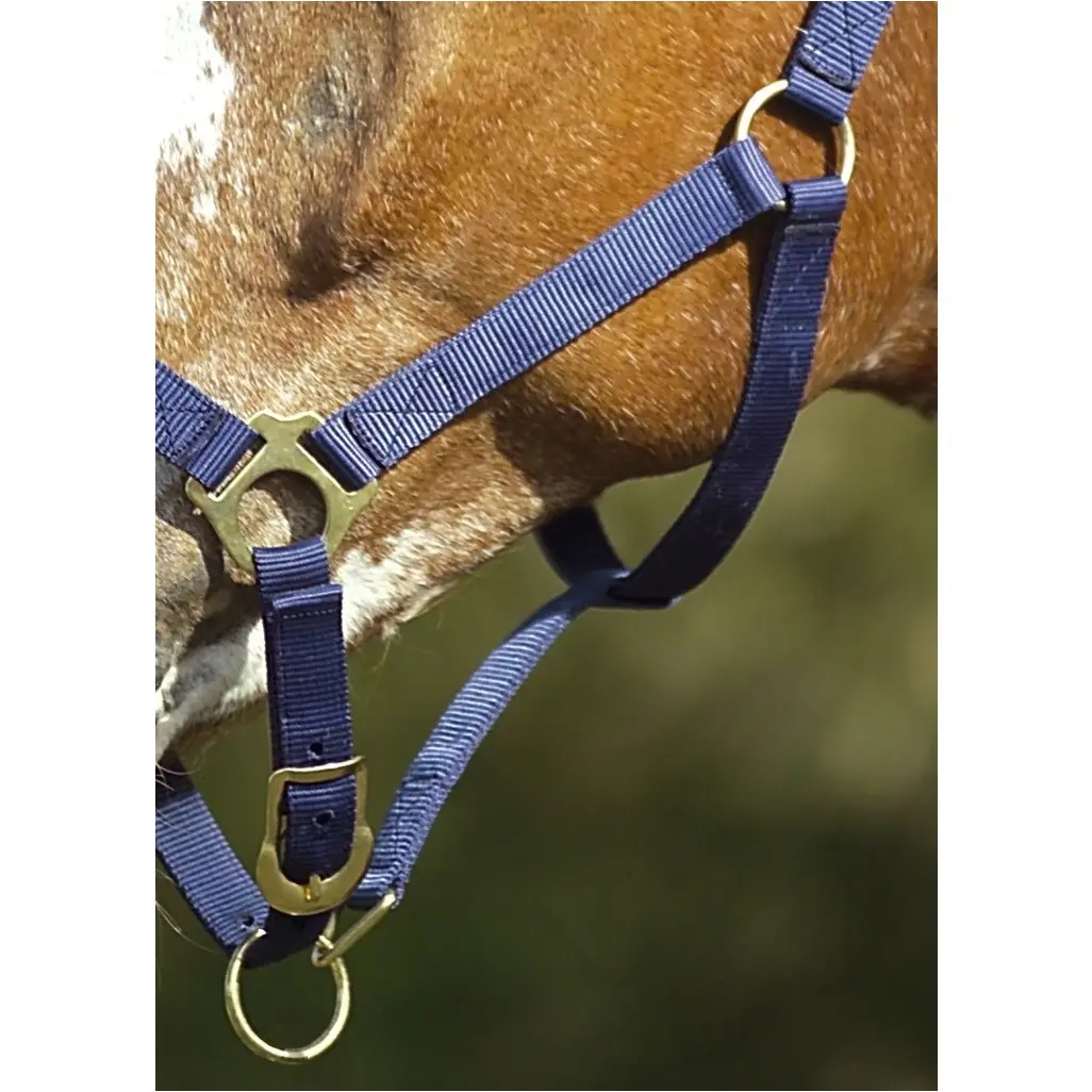 Nylonhalfter doppelt gelegt mit Schnallen marineblau