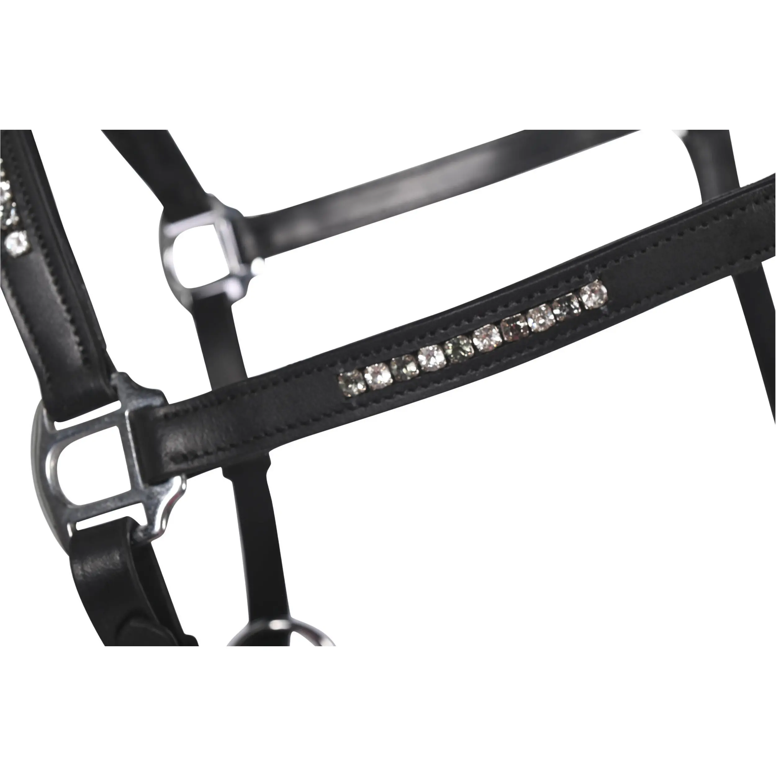 Lederhalfter SPARKLE schwarz