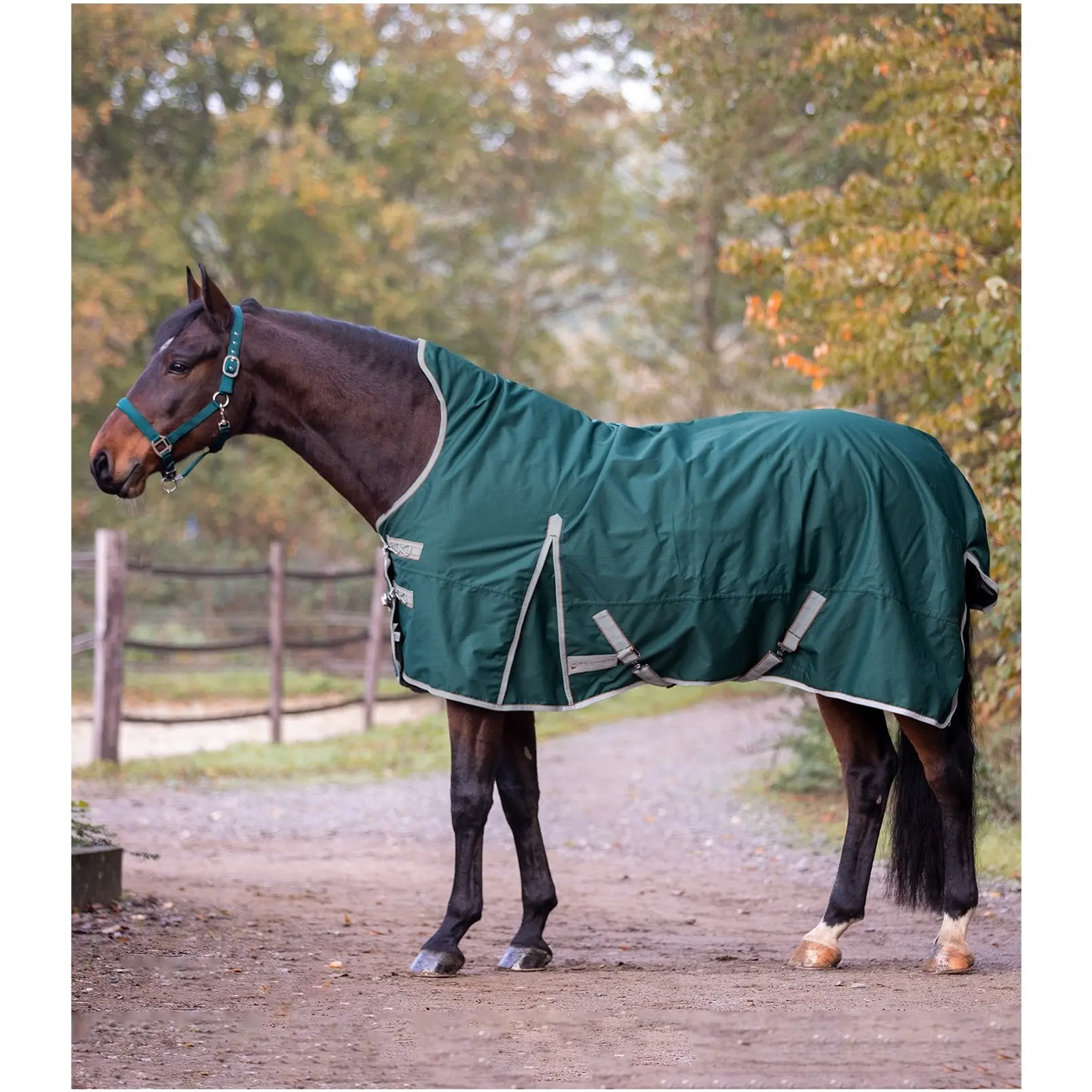 Outdoordecke Highneck 200g Füllung 600D ECONOMIC tannengrün/stein