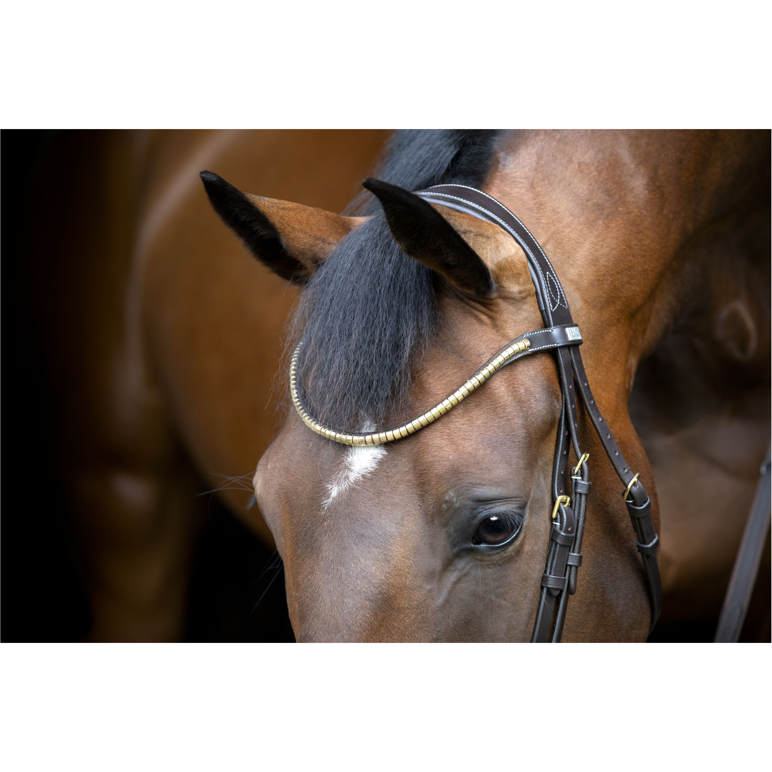 Trensenzaum englisch kombiniert EMI 26.1 braun