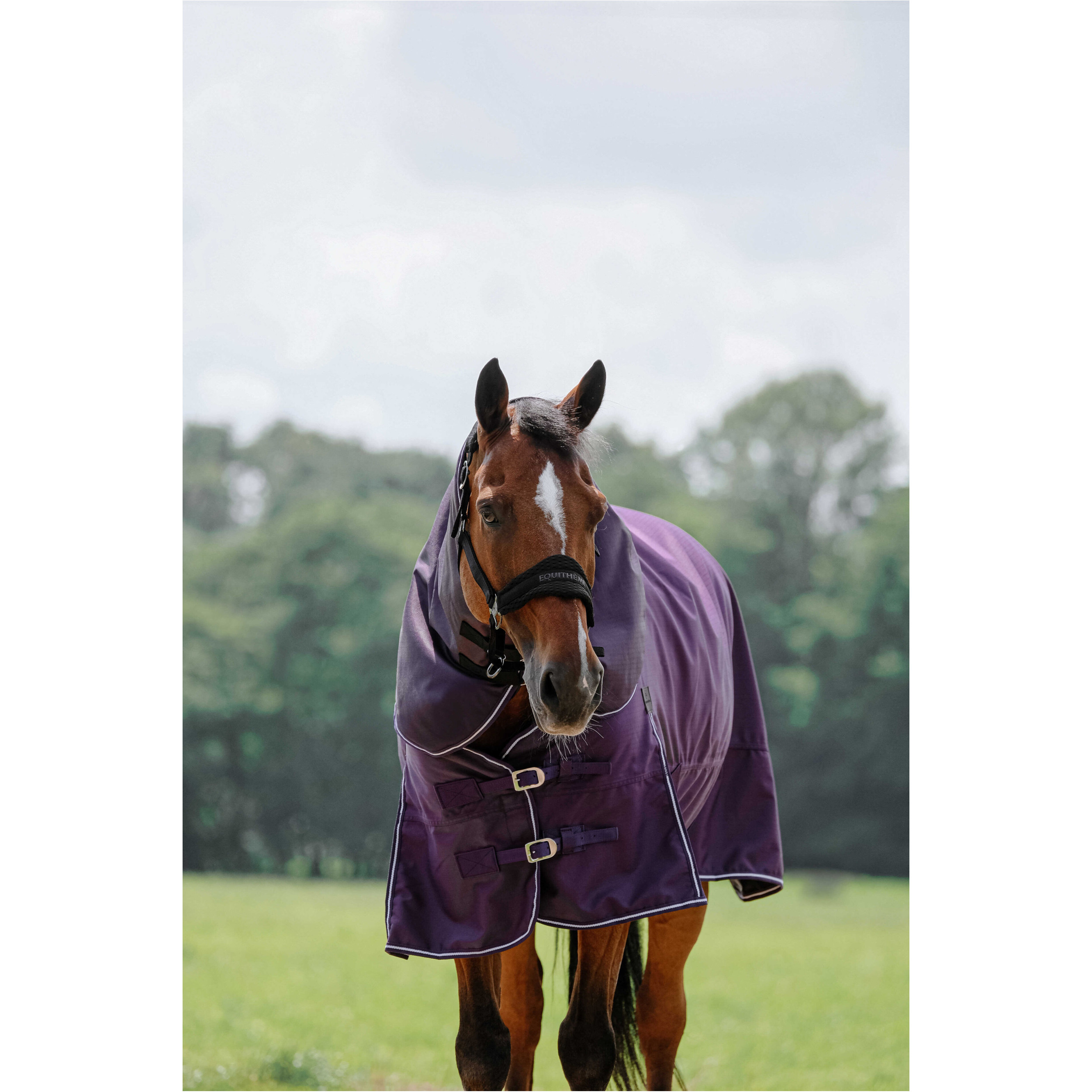 Halsteil 200g Füllung 600D TYREX pflaumenfarben