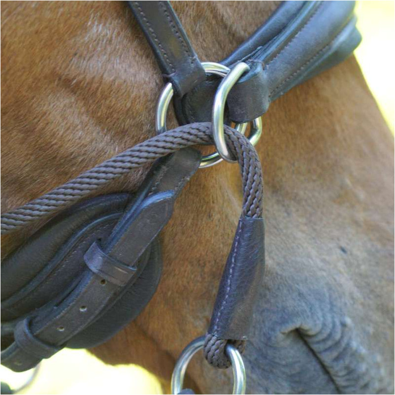 Trensenzaum Gebisslos CROSS LIGHT braun