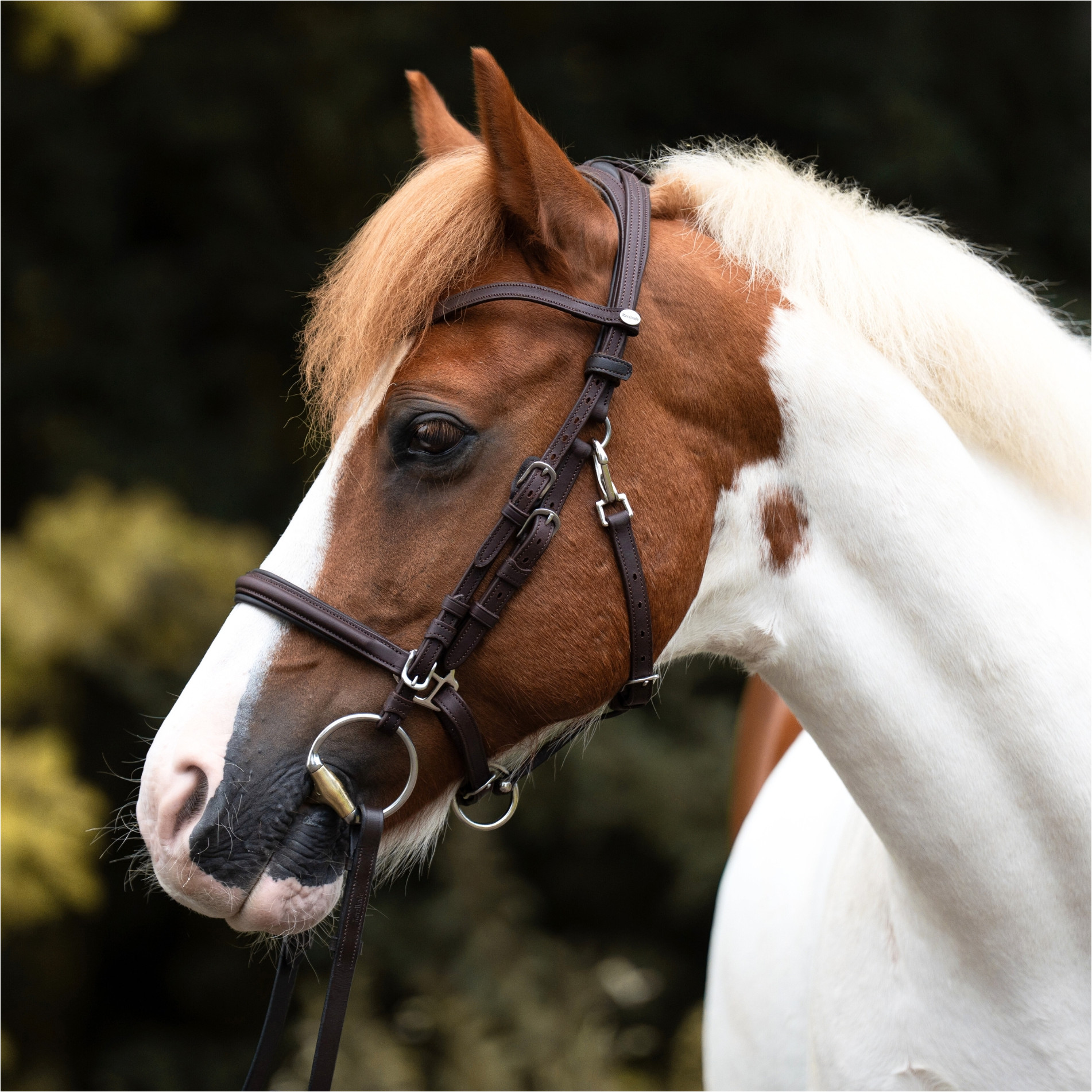 Wanderreitzaum ARTEMIS braun
