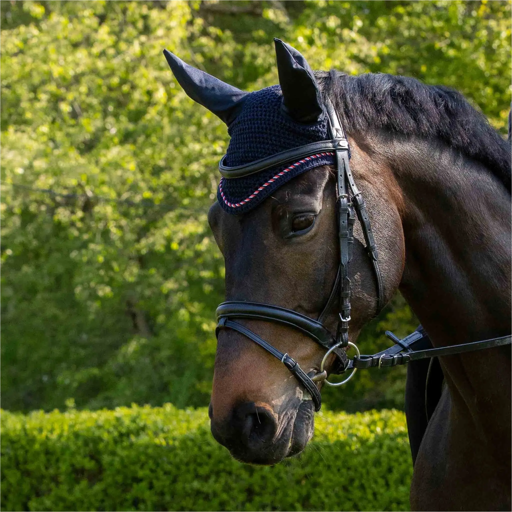 Trensenzaum Soft COMFORT schwarz