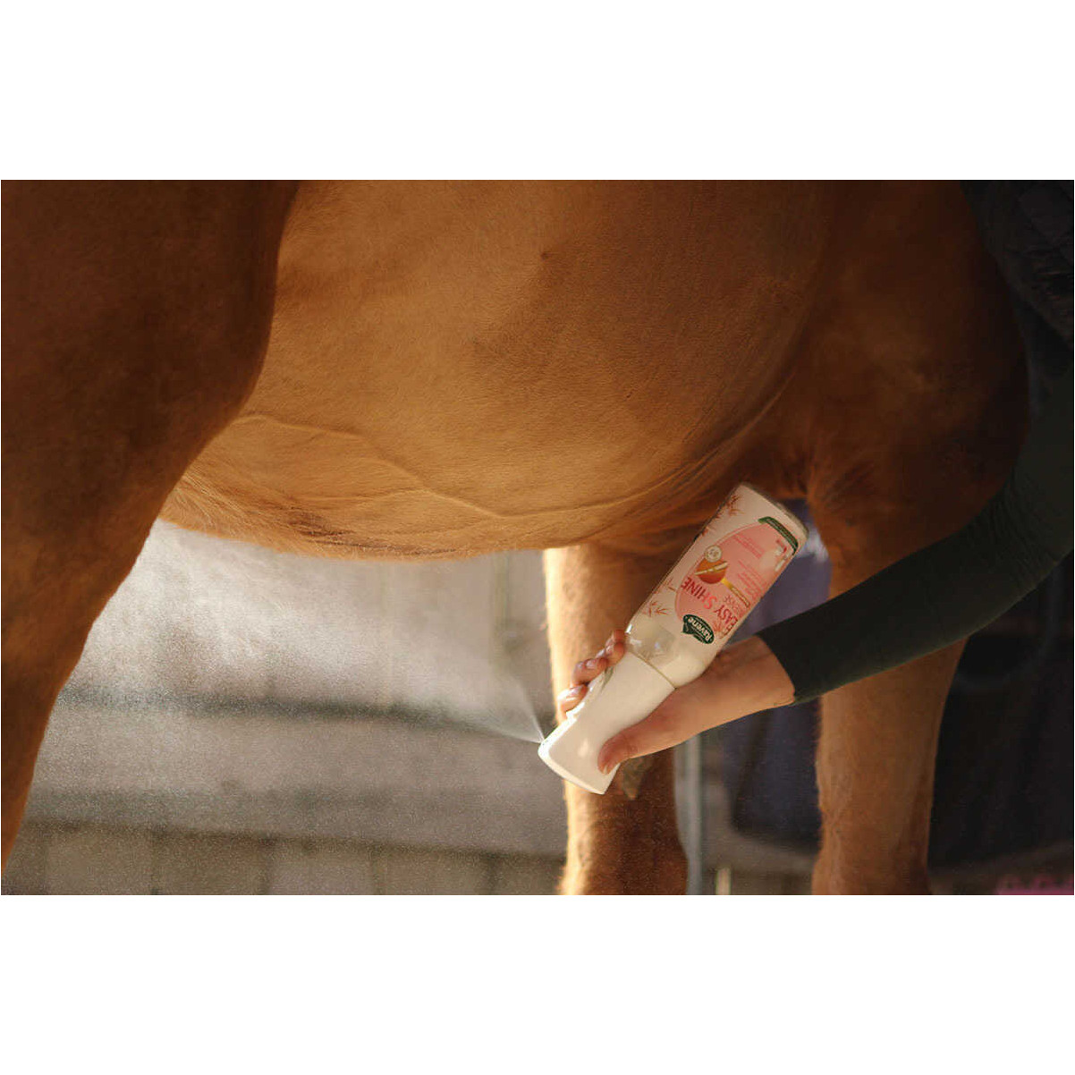 Nachfüllflasche Easy Shine Intensiv 500ml