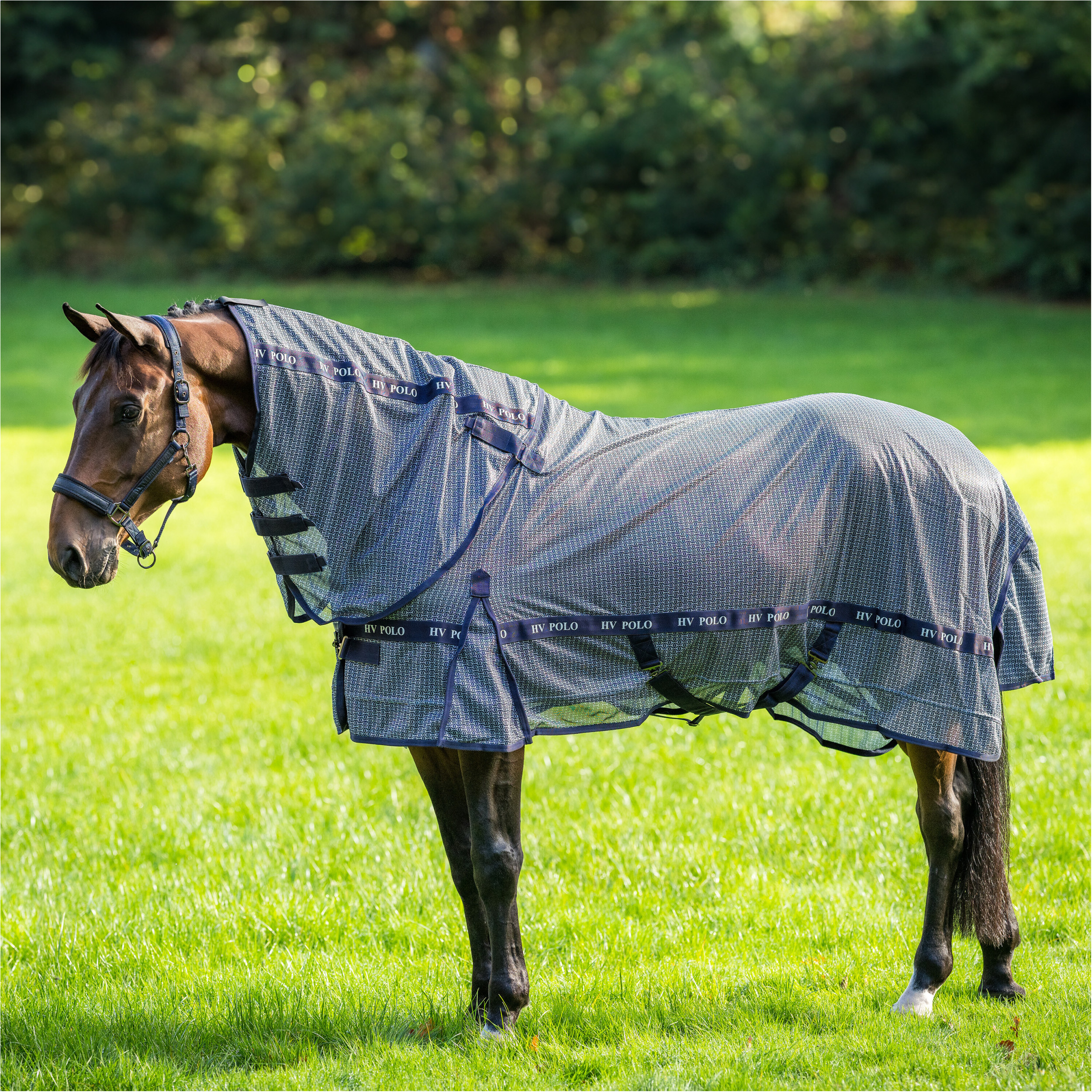 Fliegendecke HVPNena AOP navy Fliegendecke HVPNena AOP navy