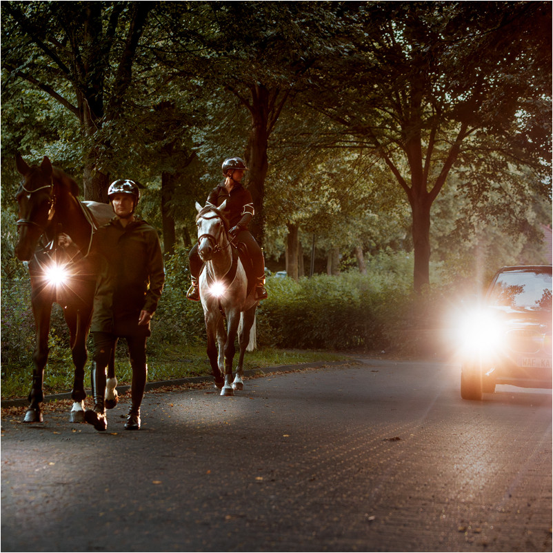 Vorderzeug mit weißer Frontleuchte HORSELIGHT schwarz/grau