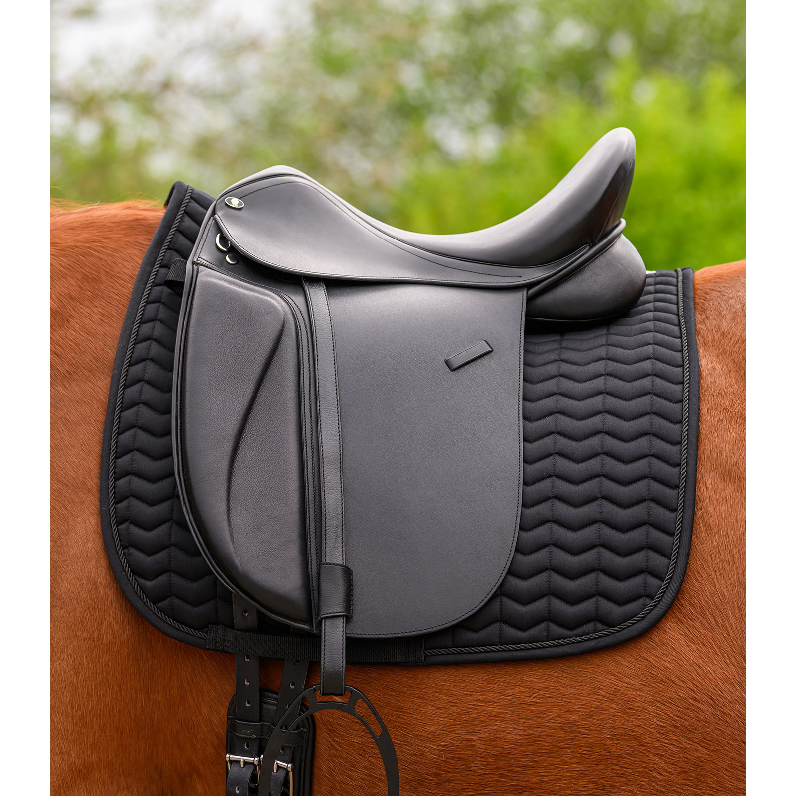 Steigbügelriemen Leder schwarz