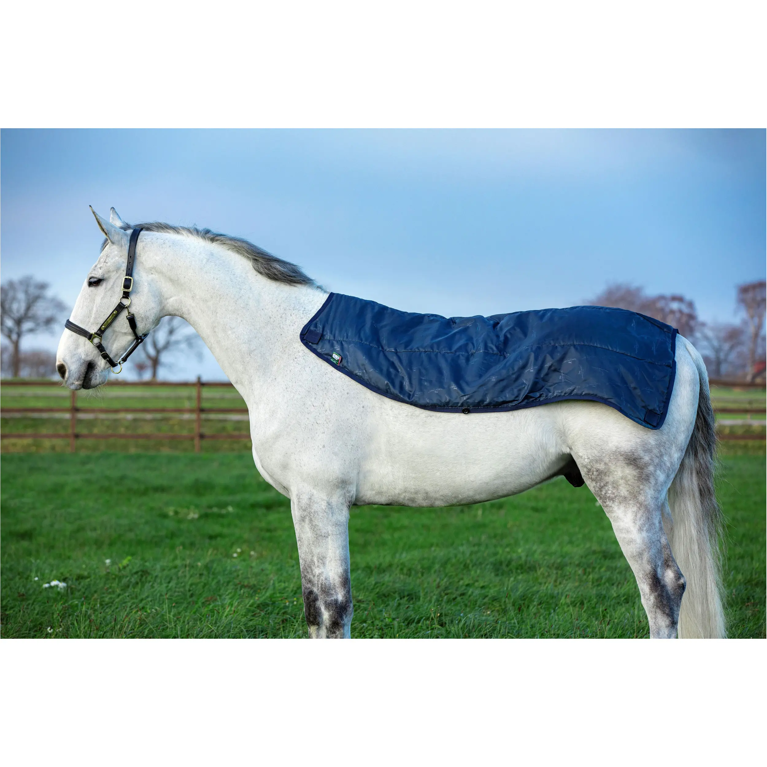 Sommer Weidedecke mit Halsteil (abnehmbar) + 100g Liner RAMBO Summer Series Disk Front navy/grey