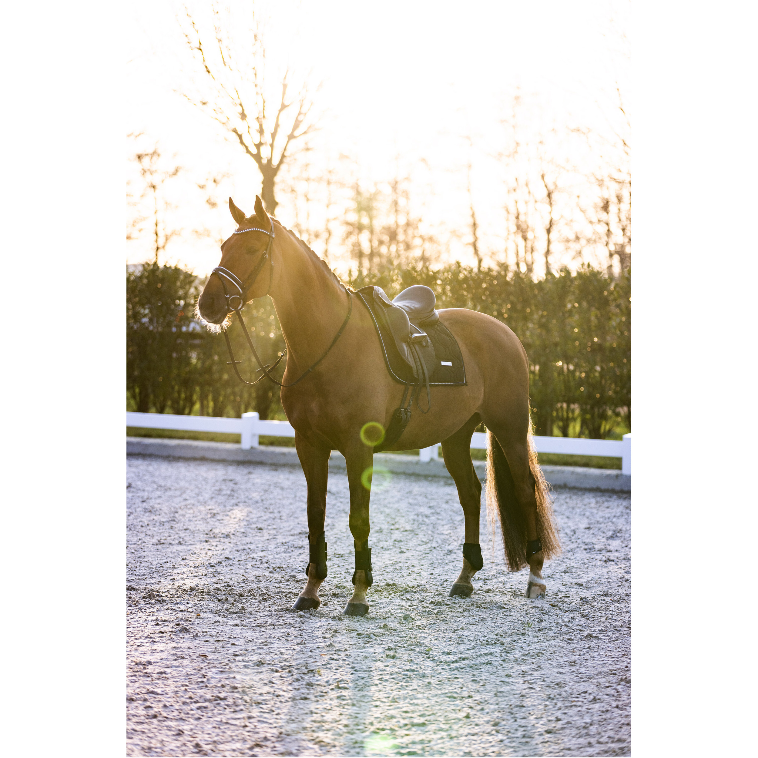Gamaschen IRHLovely schwarz