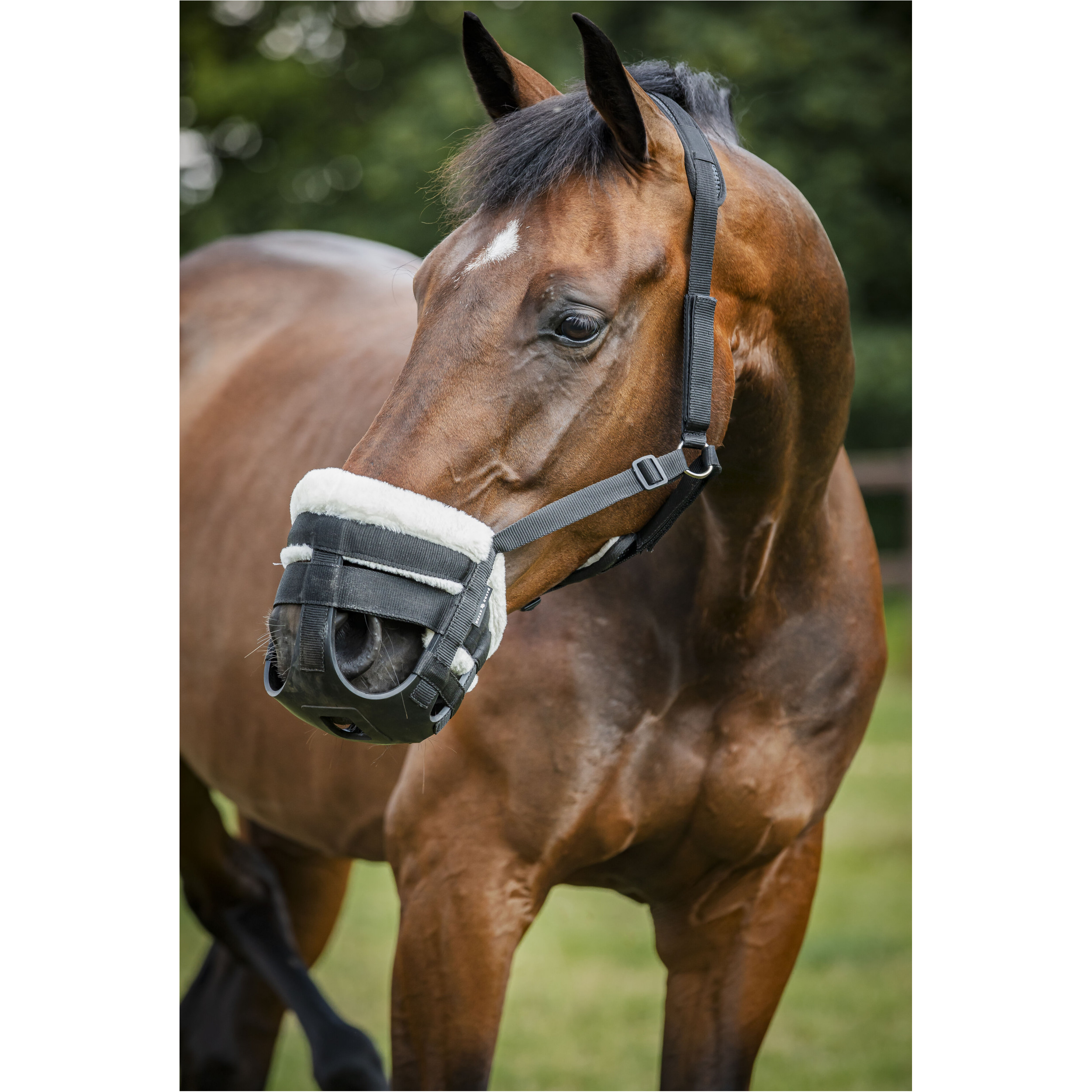 Halfer mit Fressbremse schwarz Halfer mit Fressbremse schwarz