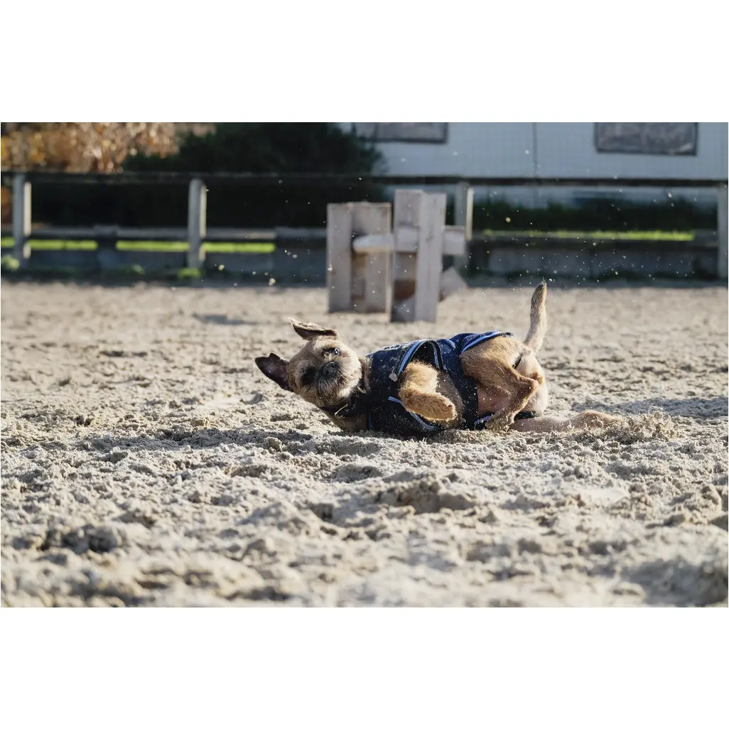 Fleecedecke für den Hund marineblau