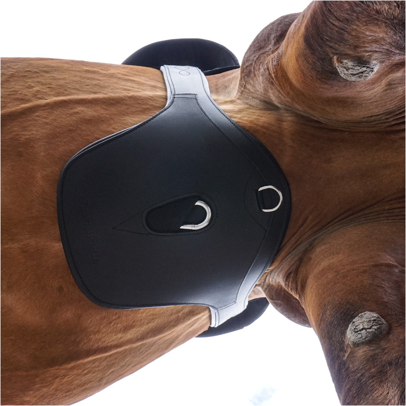 Sattelgurt mit Bauchlatz und Elast STANDARD schwarz