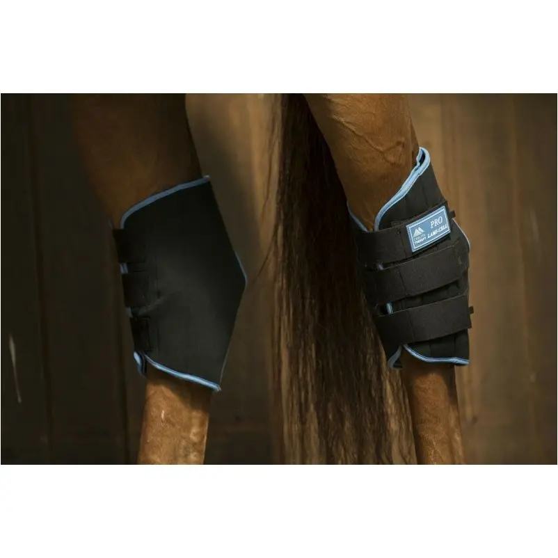 Sprunggelenkschutz ICE BOOTS schwarz/blau