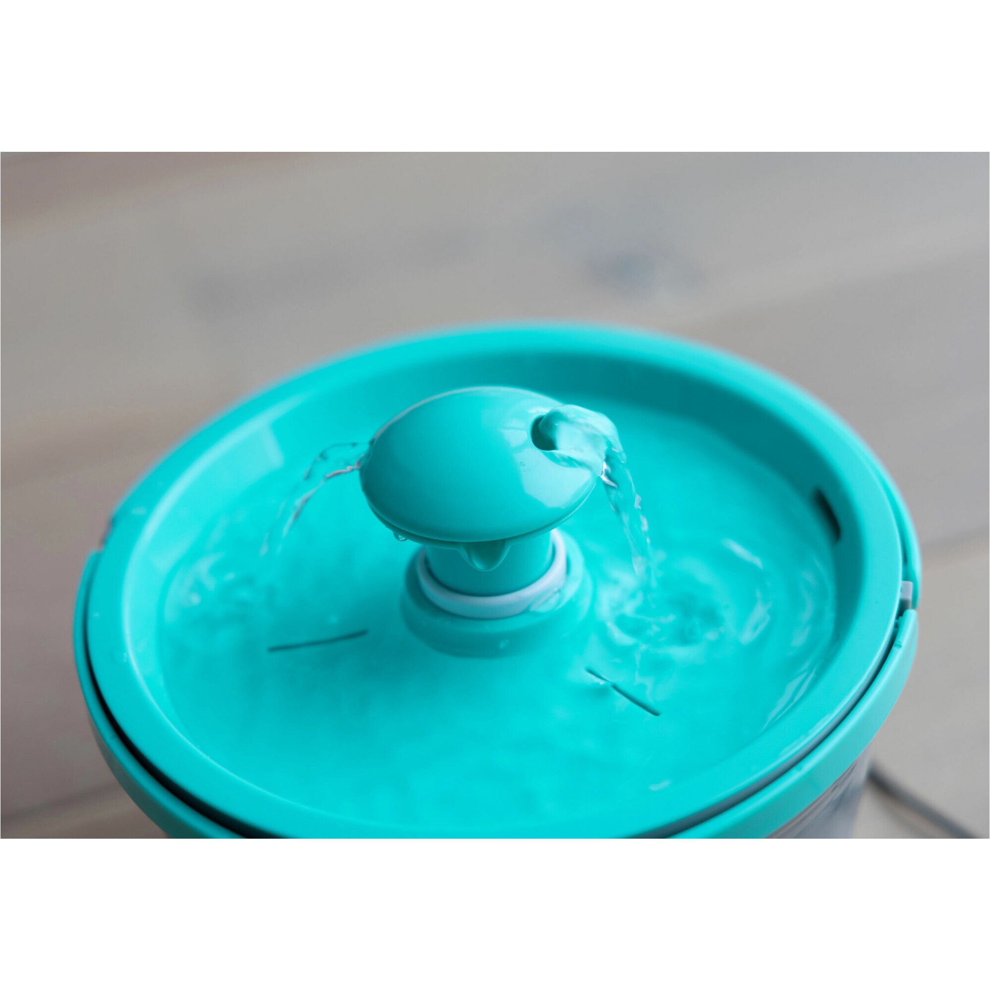 Trinkbrunnen für Heimtiere grau/blau