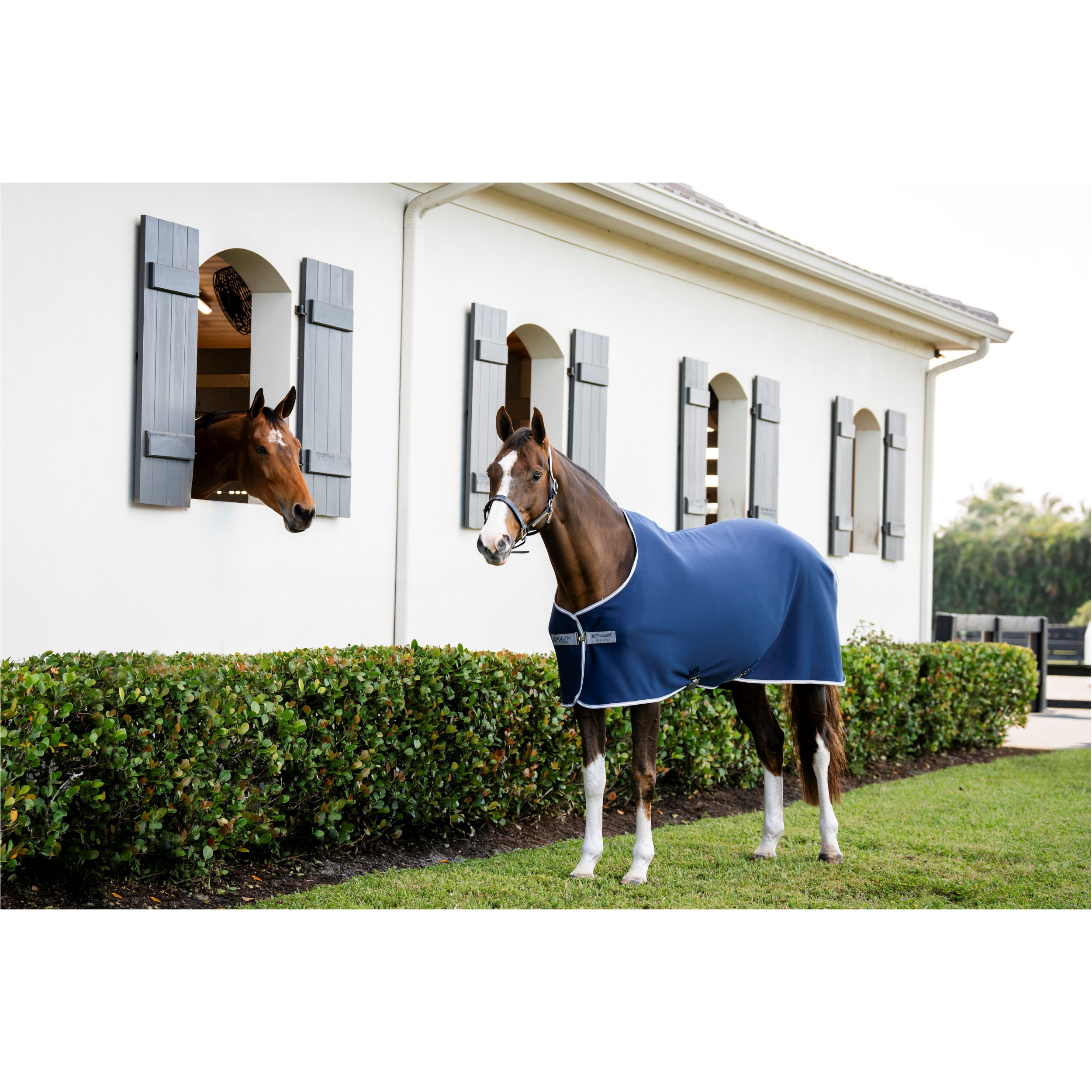 Abschwitzdecke AMIGO Jersey Cooler navy/titanium grey/silver