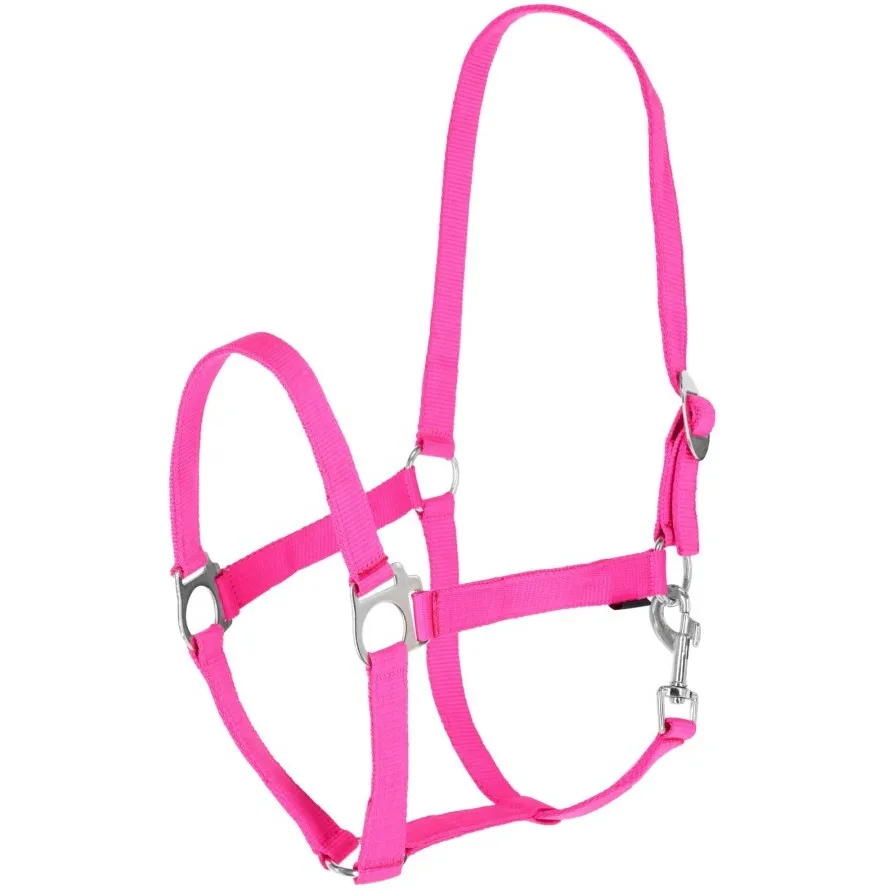 Halfter HIPPO pink