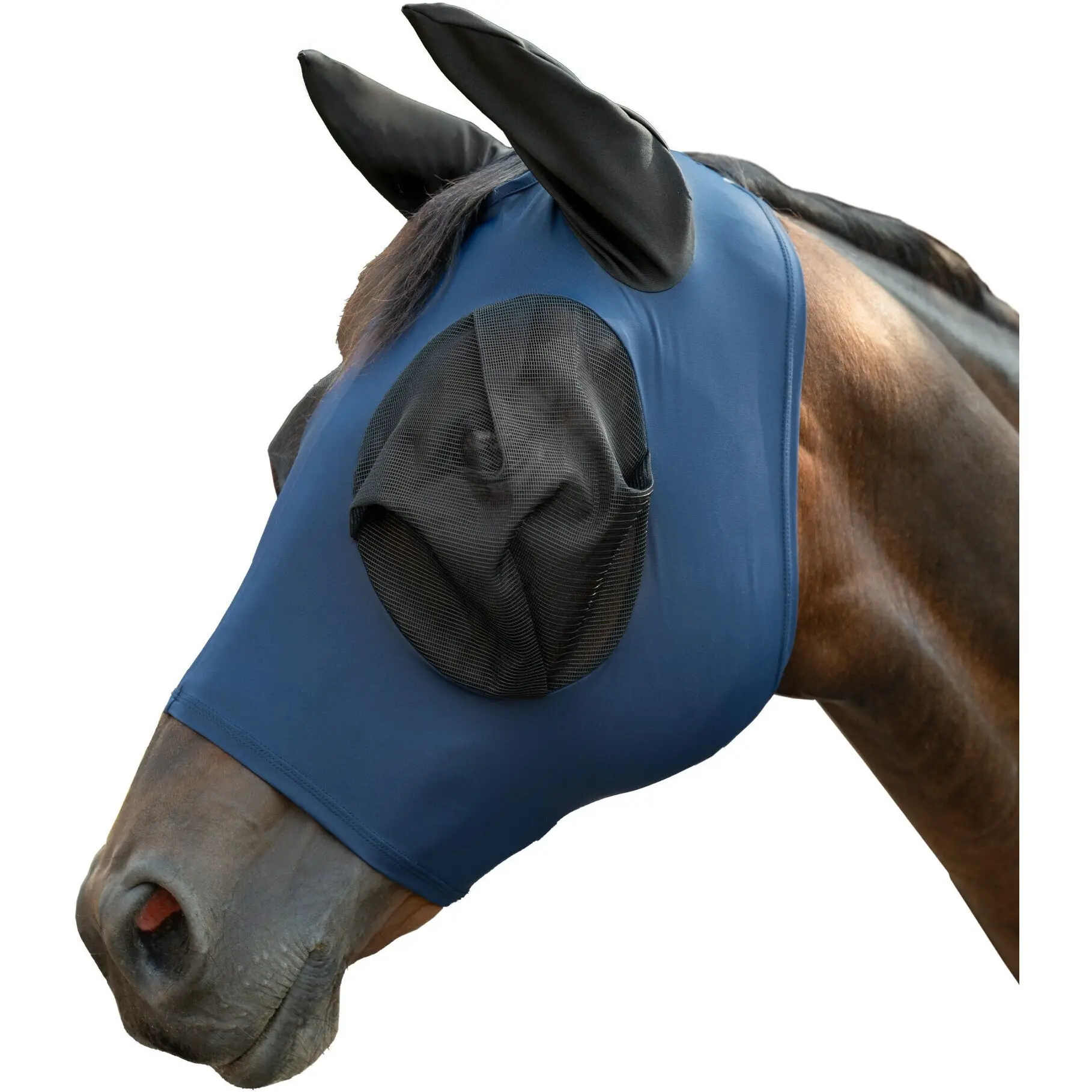 dunkelblau