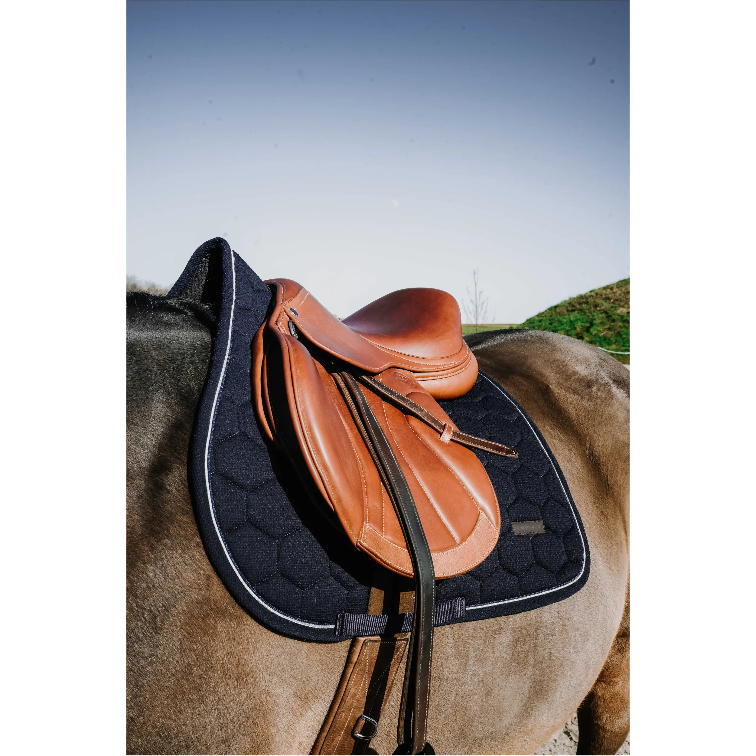 Schabracke HONEY navy Warmblut Vielseitigkeit
