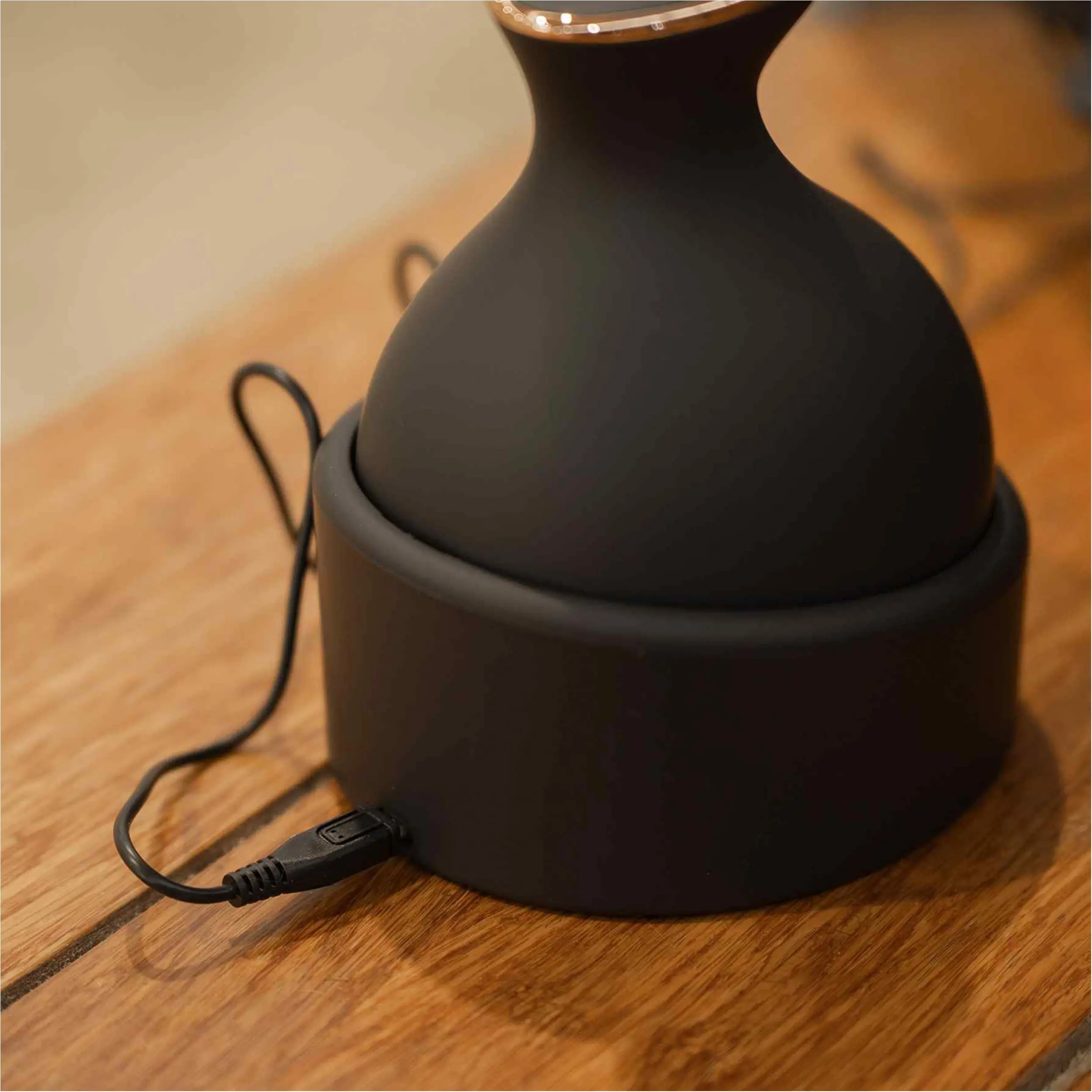 Entspannungsbürste Grooming & Relaxation IRHVolta schwarz