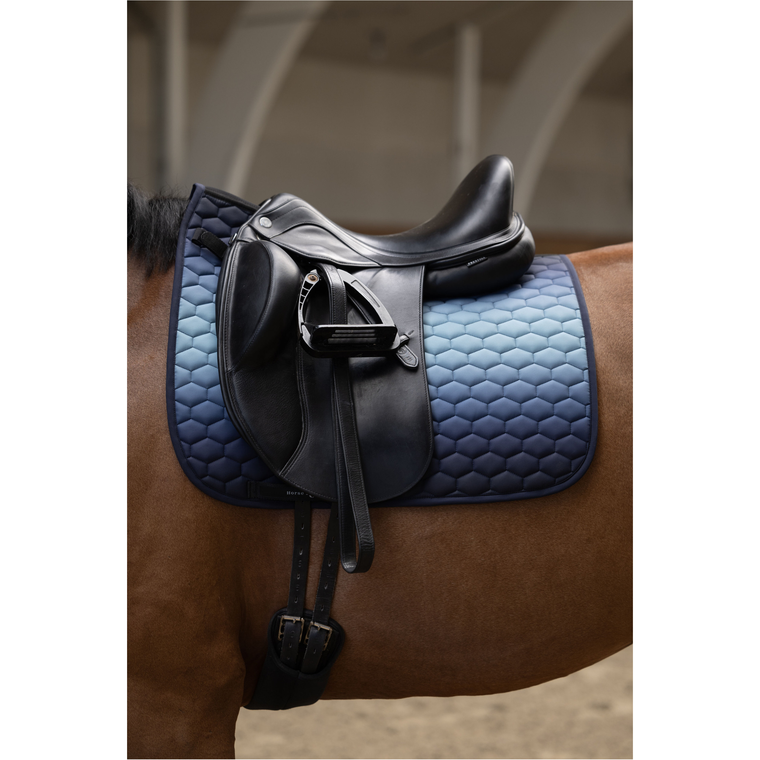 Schabracke ALMA navy