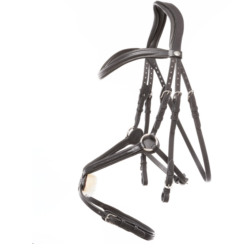 Trensenzaum mit mexikanischem Reithalfter EVERADO Leder geölt schwarz Trensenzaum mit mexikanischem Reithalfter EVERADO Leder geölt schwarz